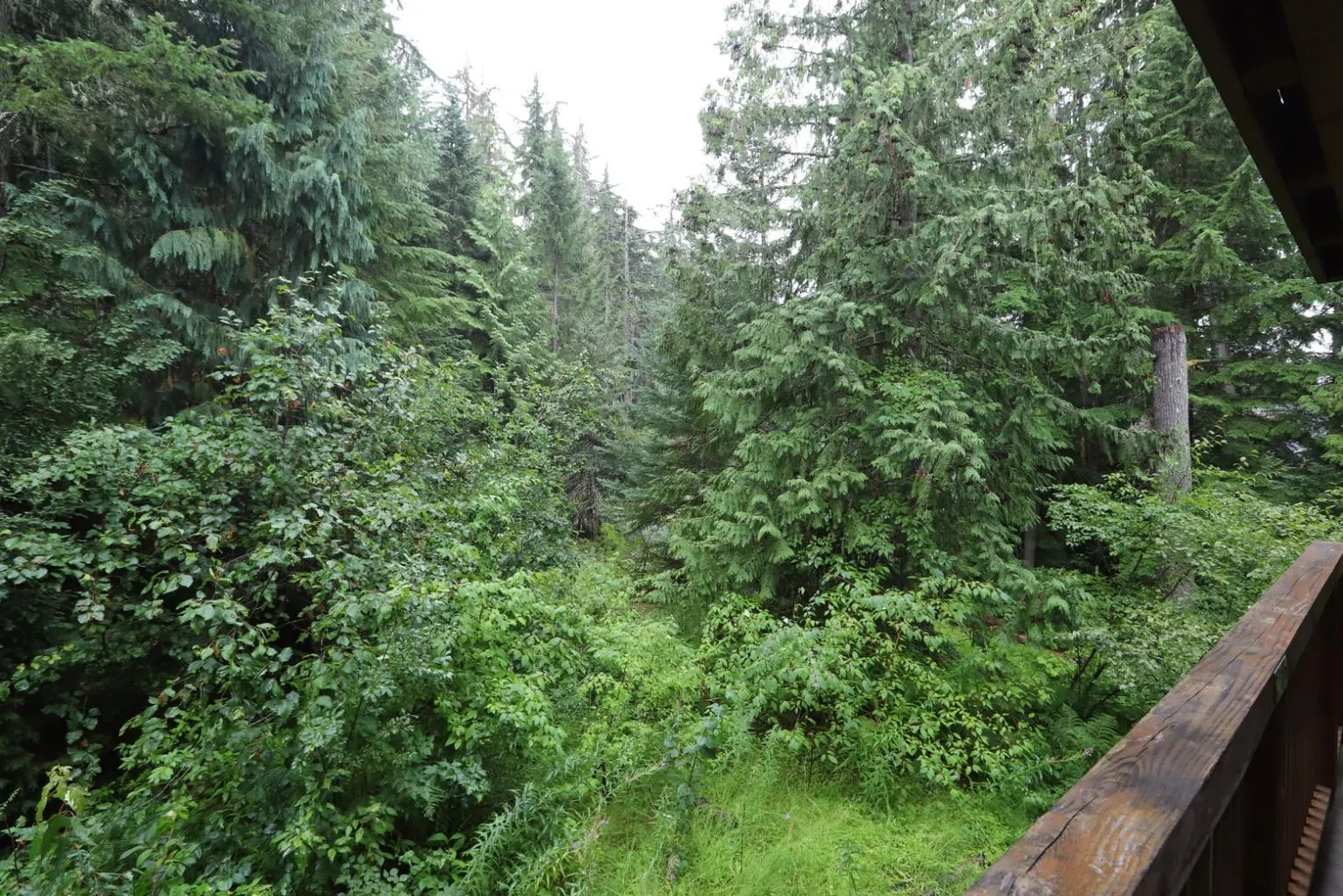 206 G2 4653 Blackcomb Way