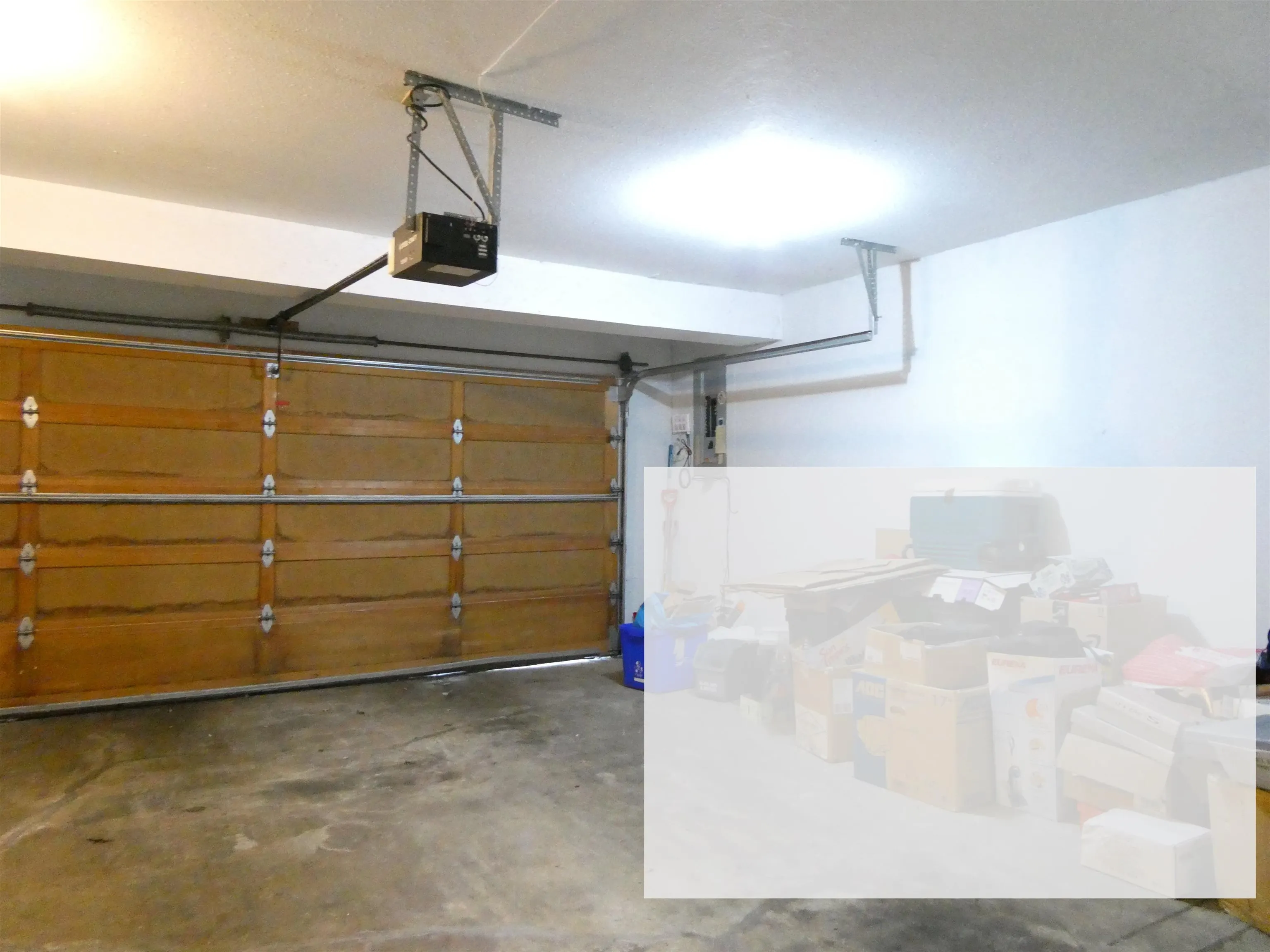 8631 Dolphin Court