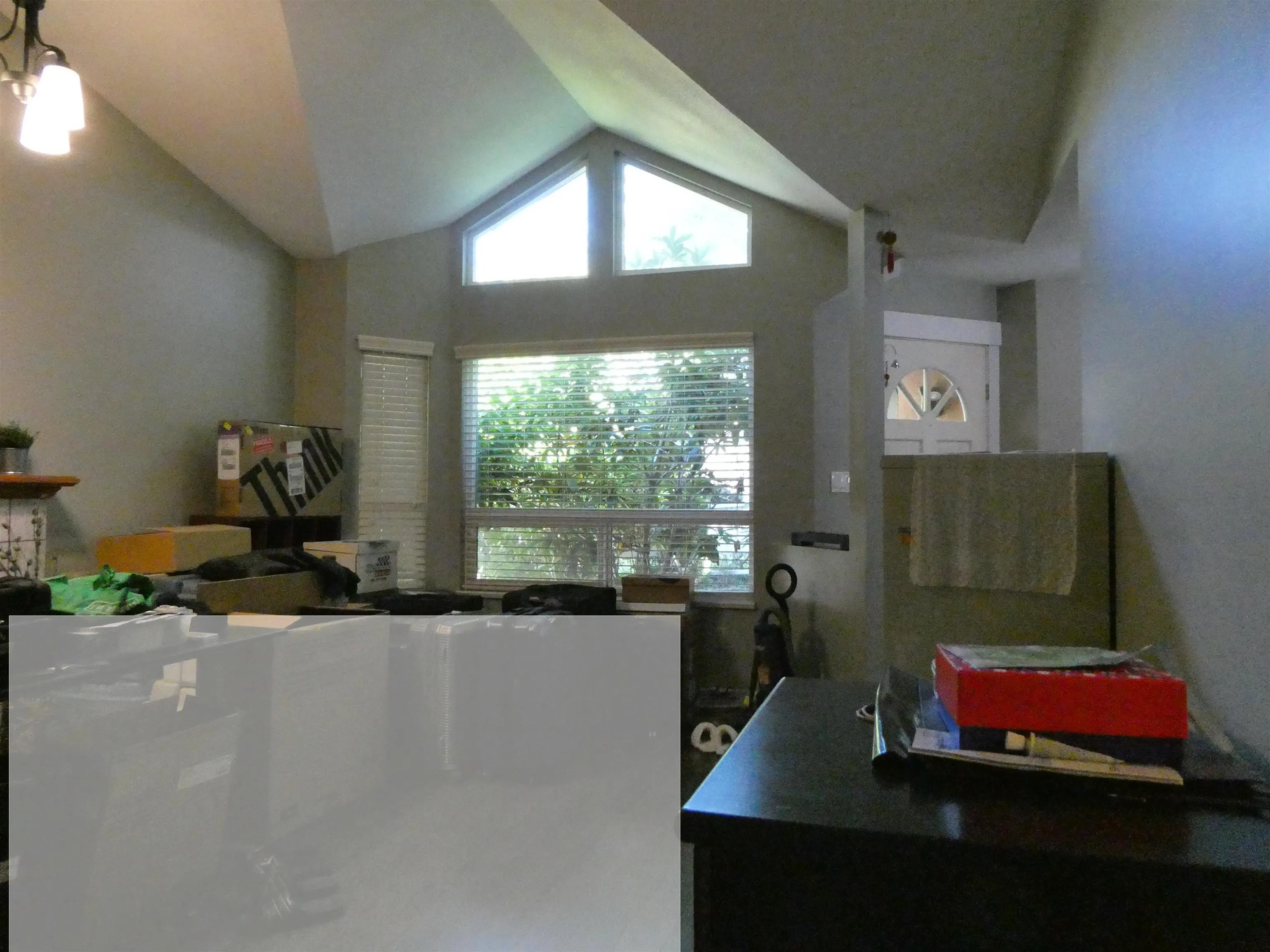 8631 Dolphin Court