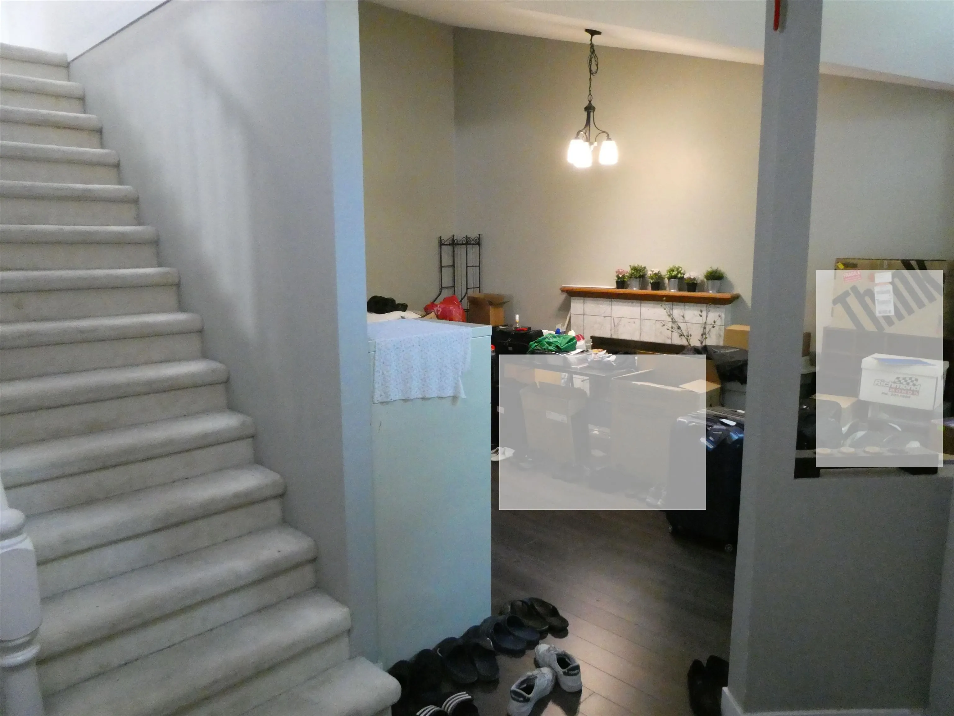 8631 Dolphin Court