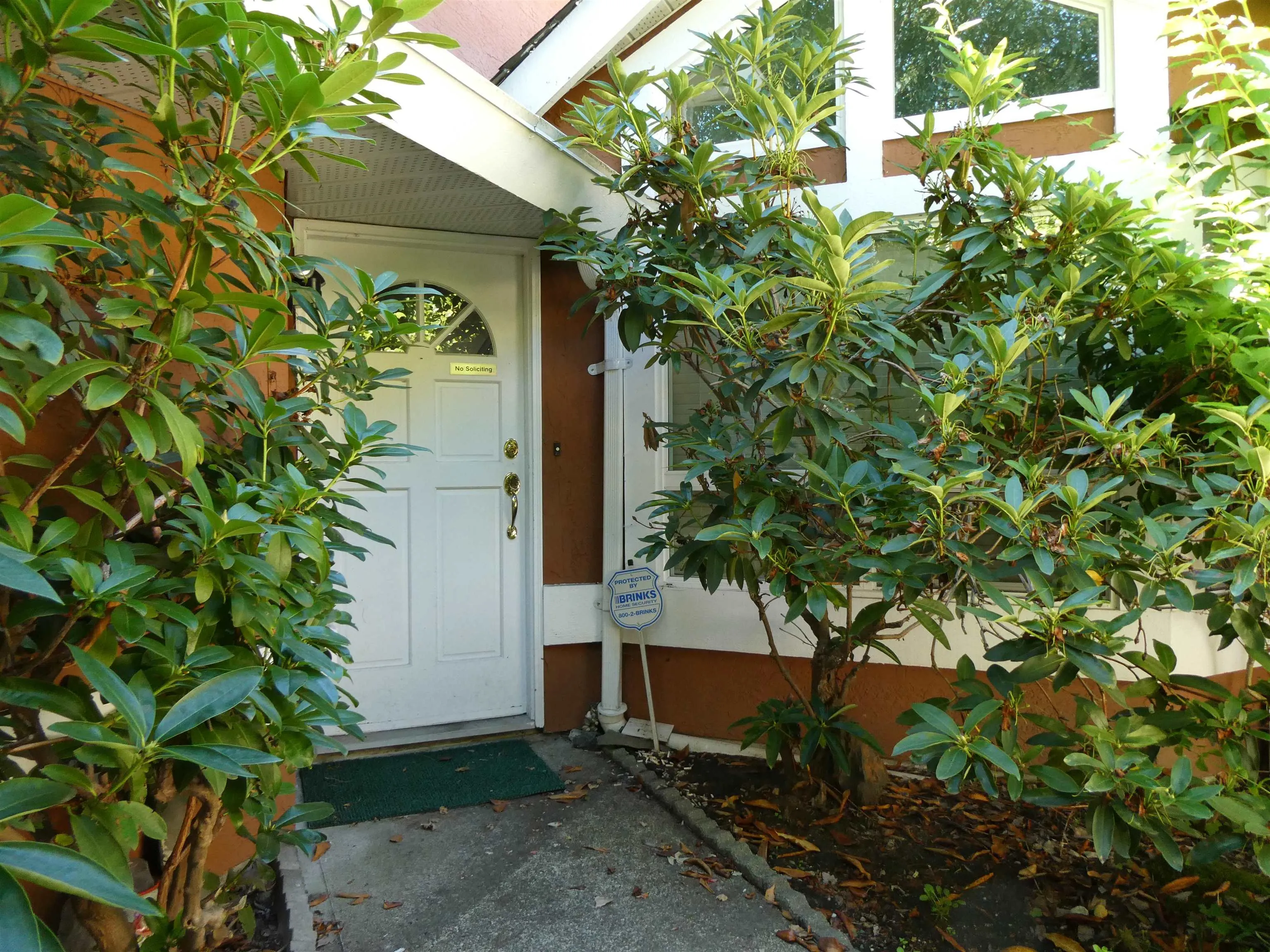 8631 Dolphin Court