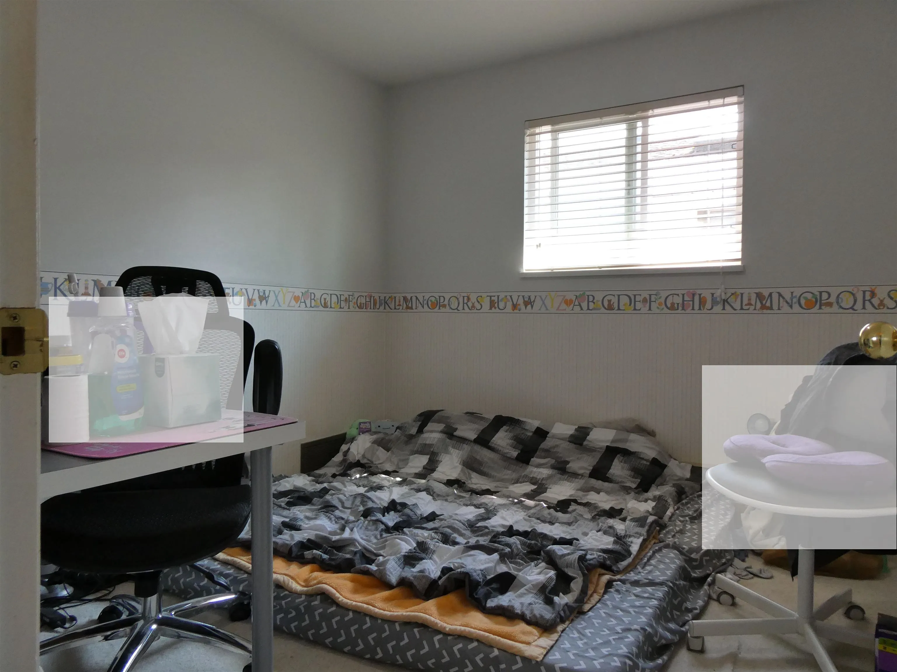 8631 Dolphin Court
