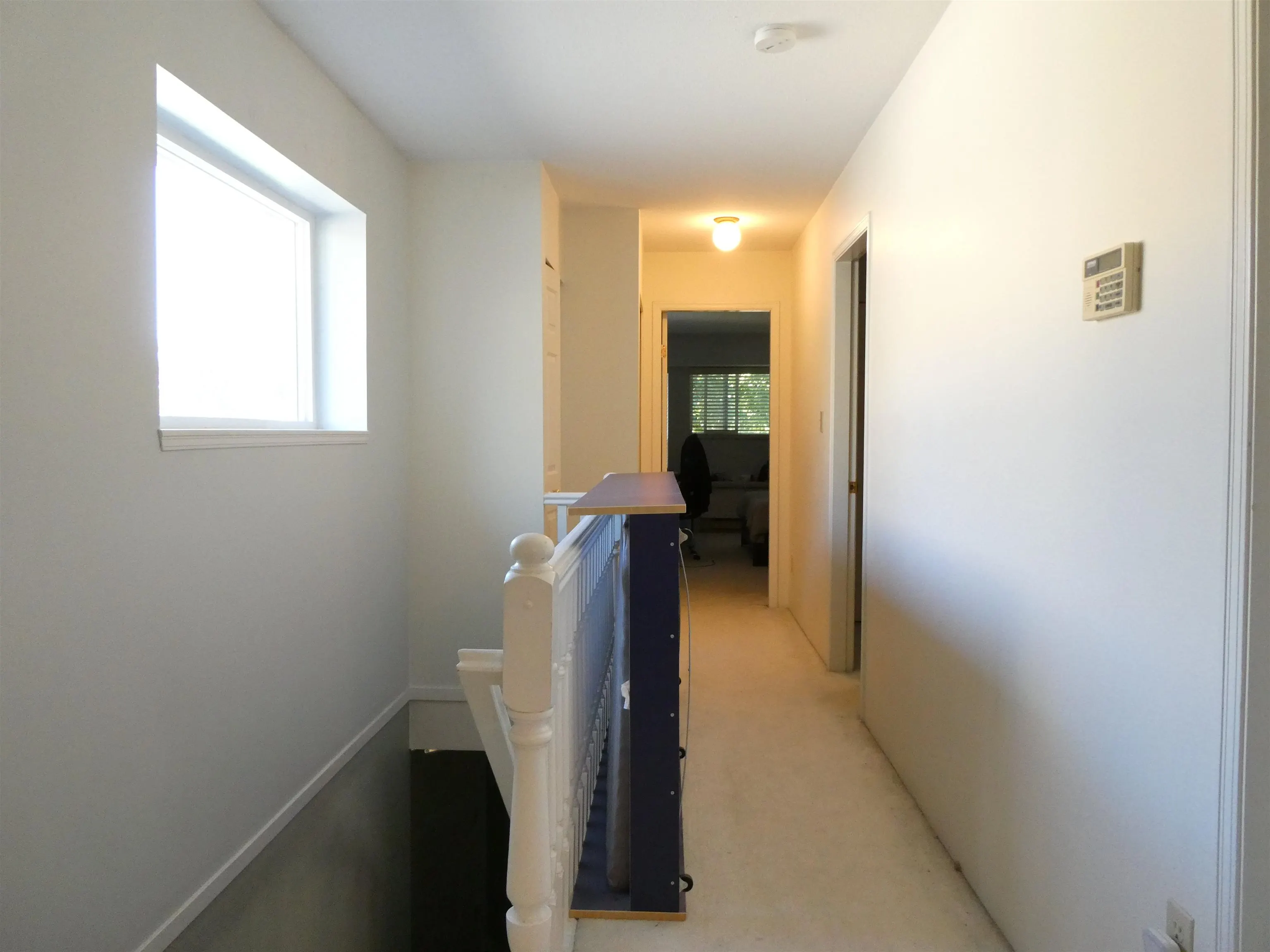 8631 Dolphin Court