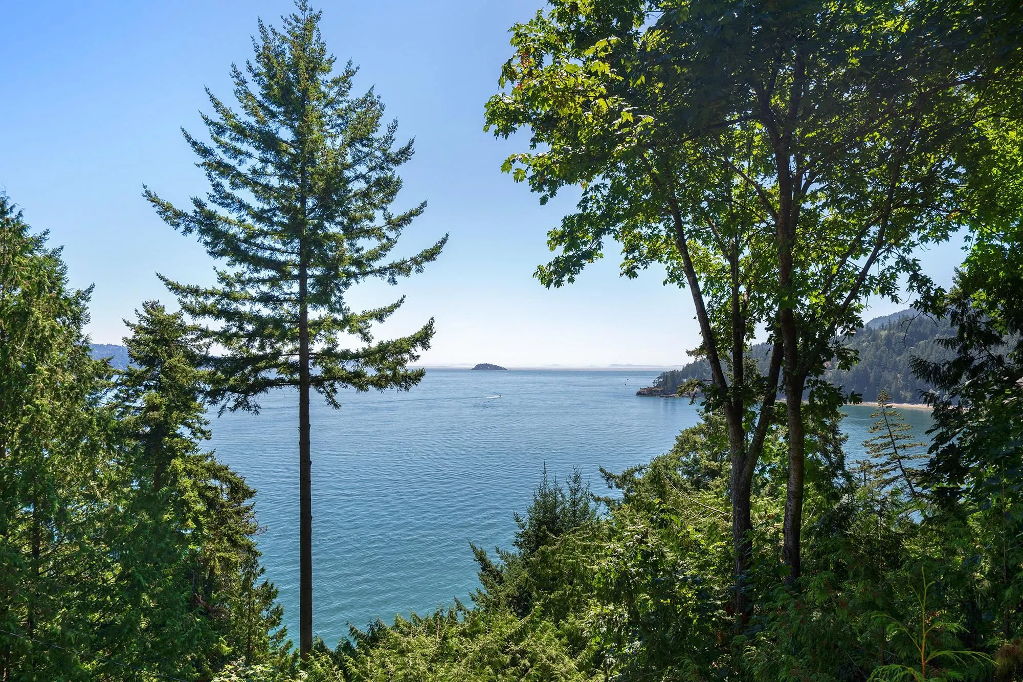 1491 Eagle Cliff Road