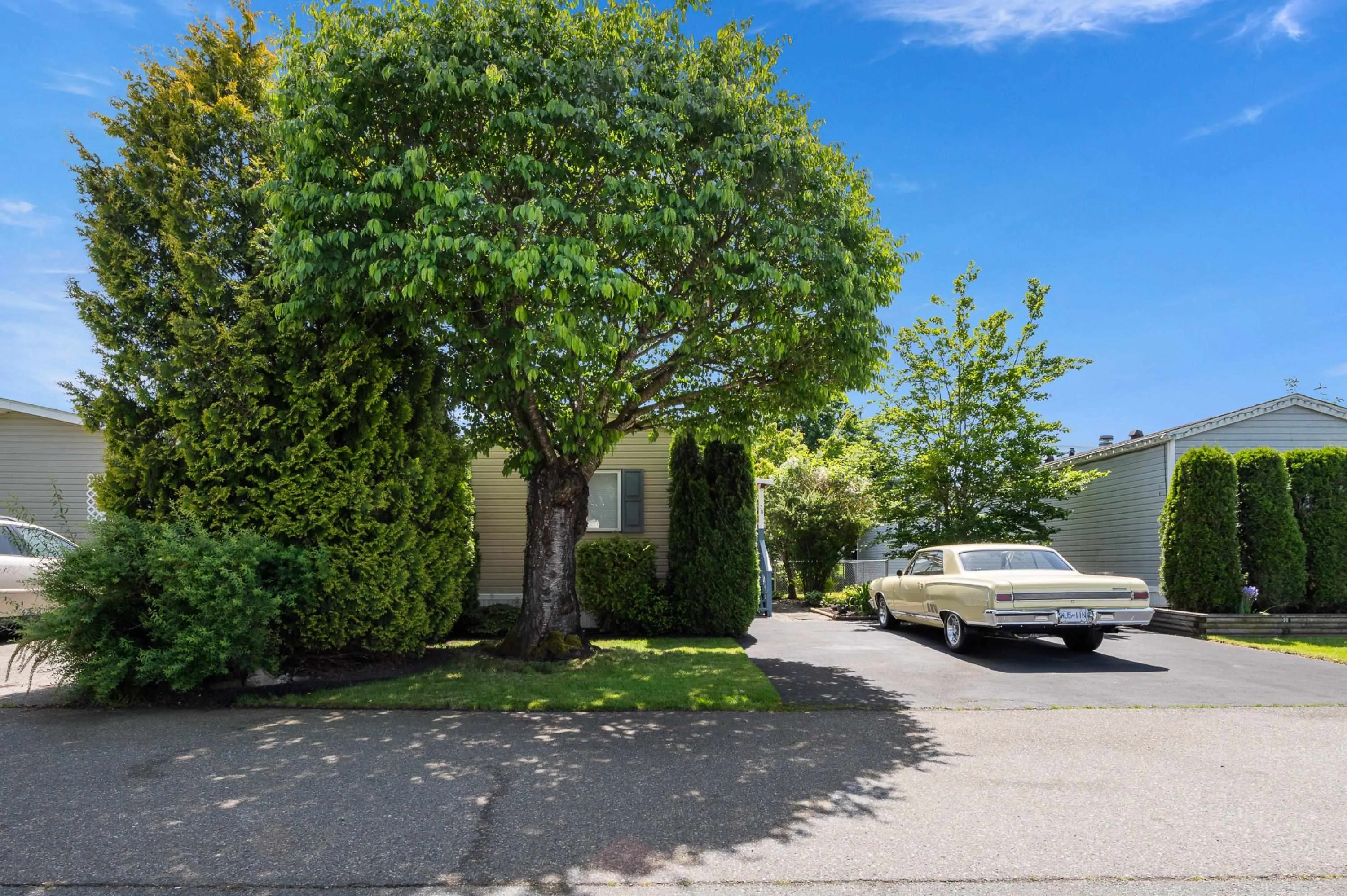38 41168 Lougheed Highway