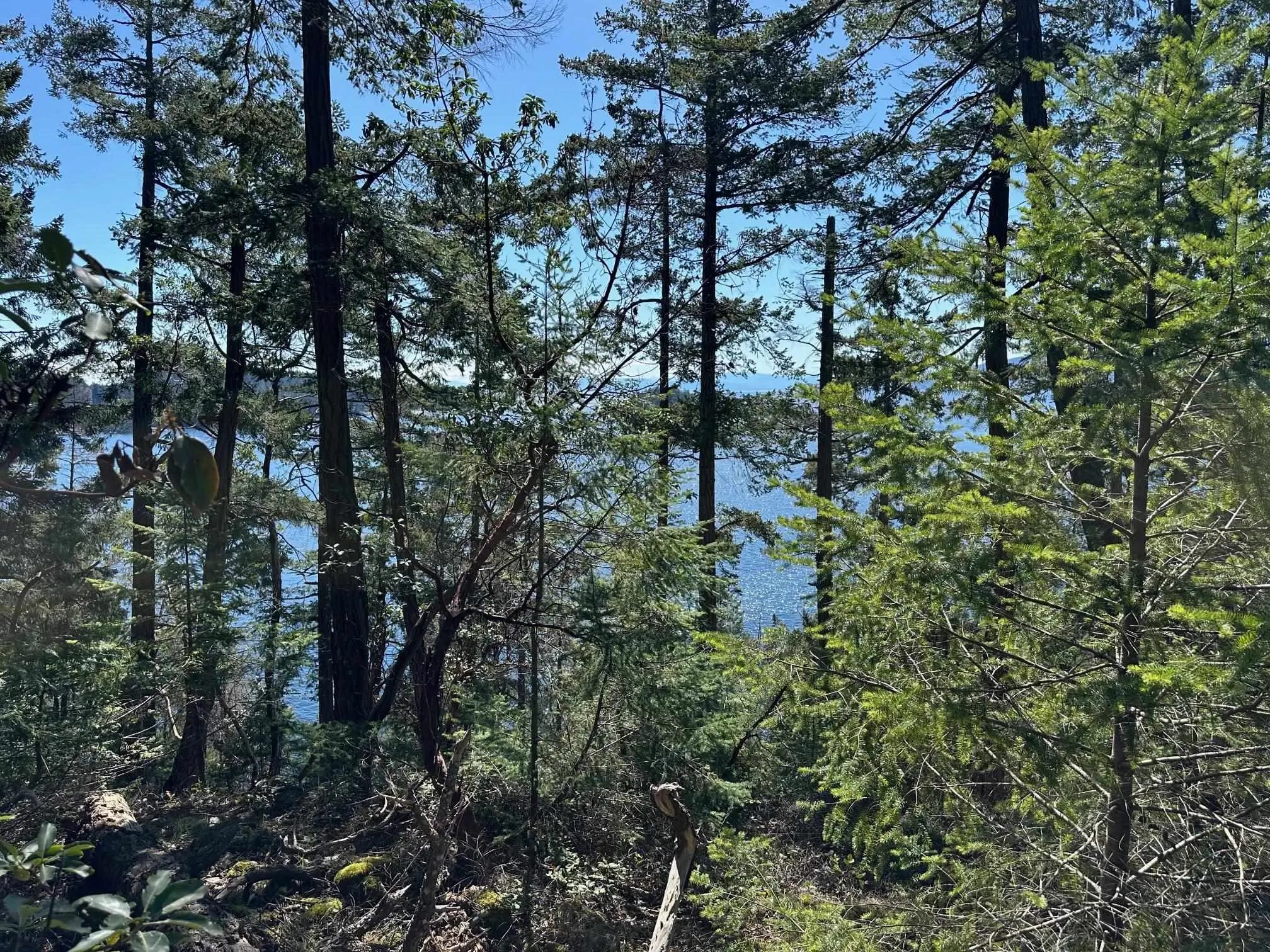 LOT 48 Orca Road
