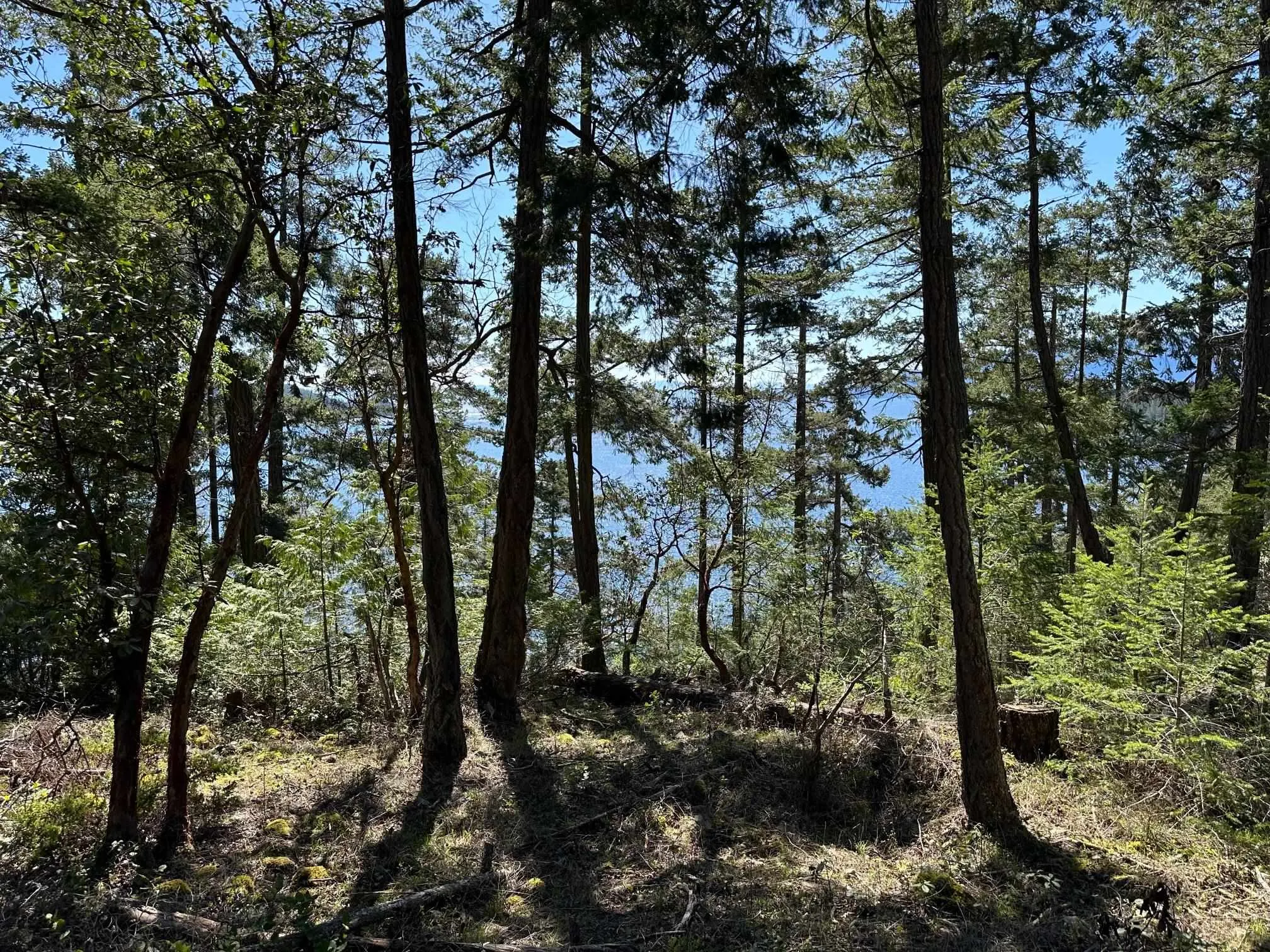 LOT 48 Orca Road