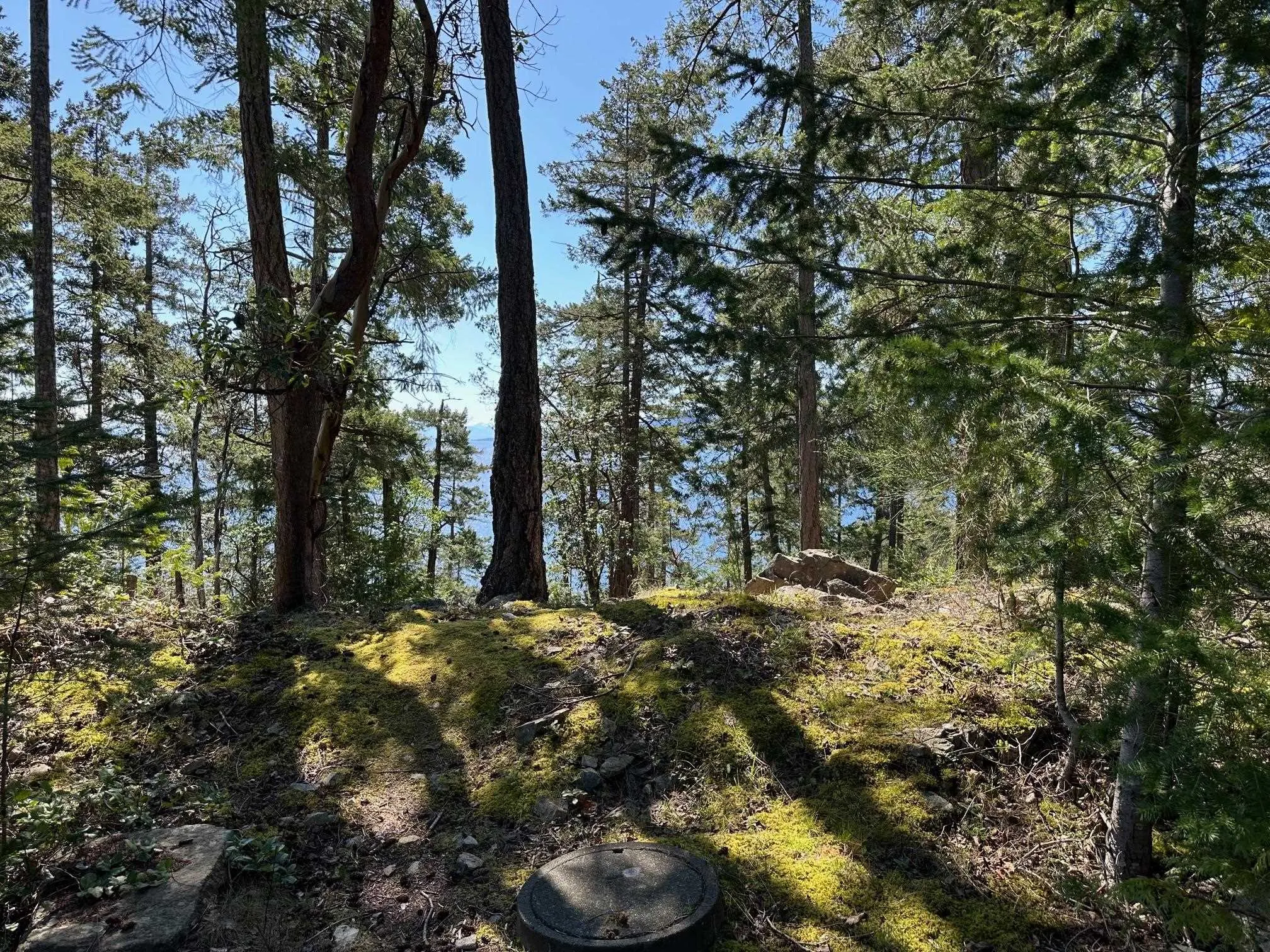 LOT 48 Orca Road
