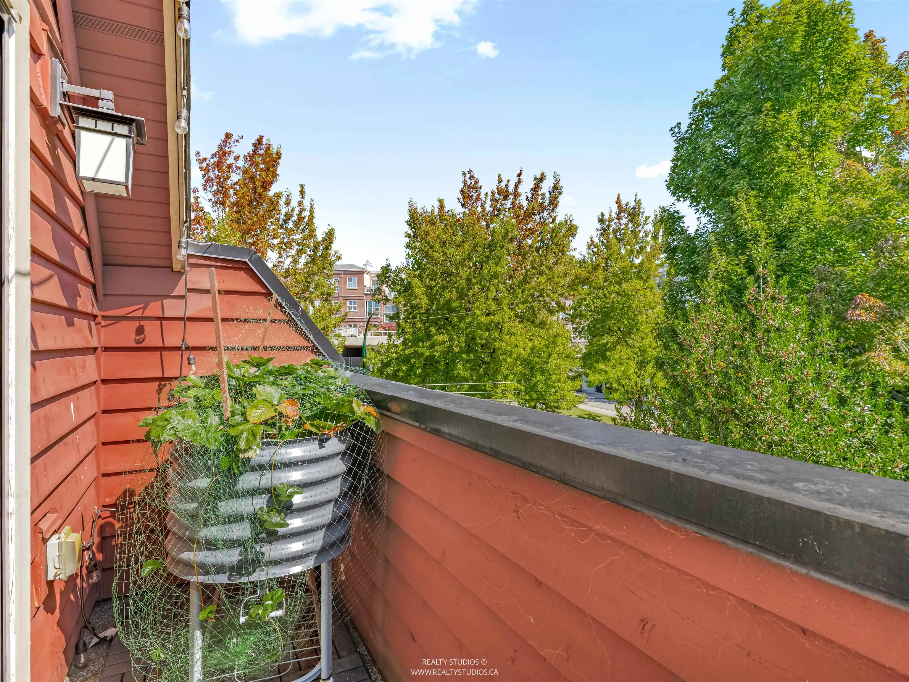 3103 St. George Street