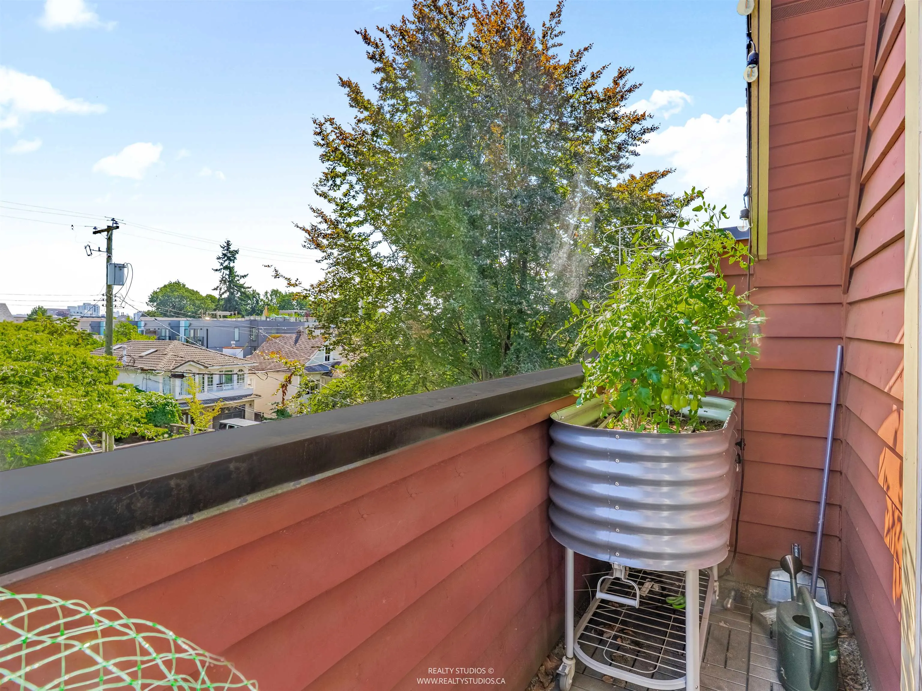 3103 St. George Street