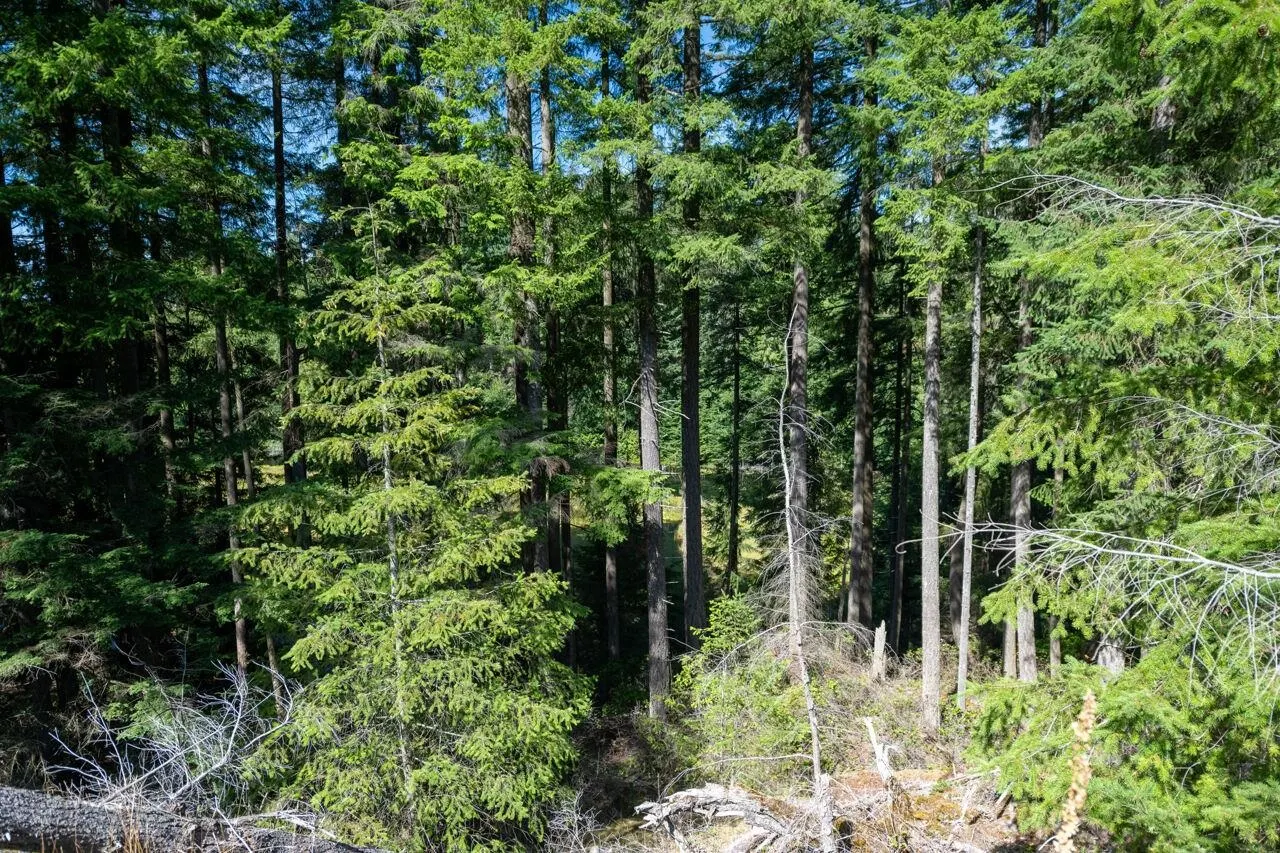 360 Salal Road