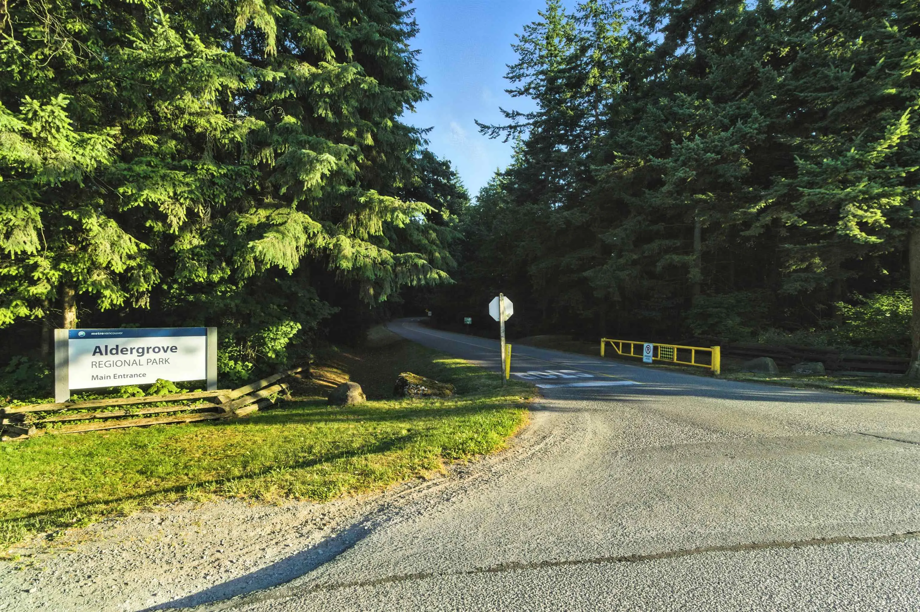 128 Springfield Drive