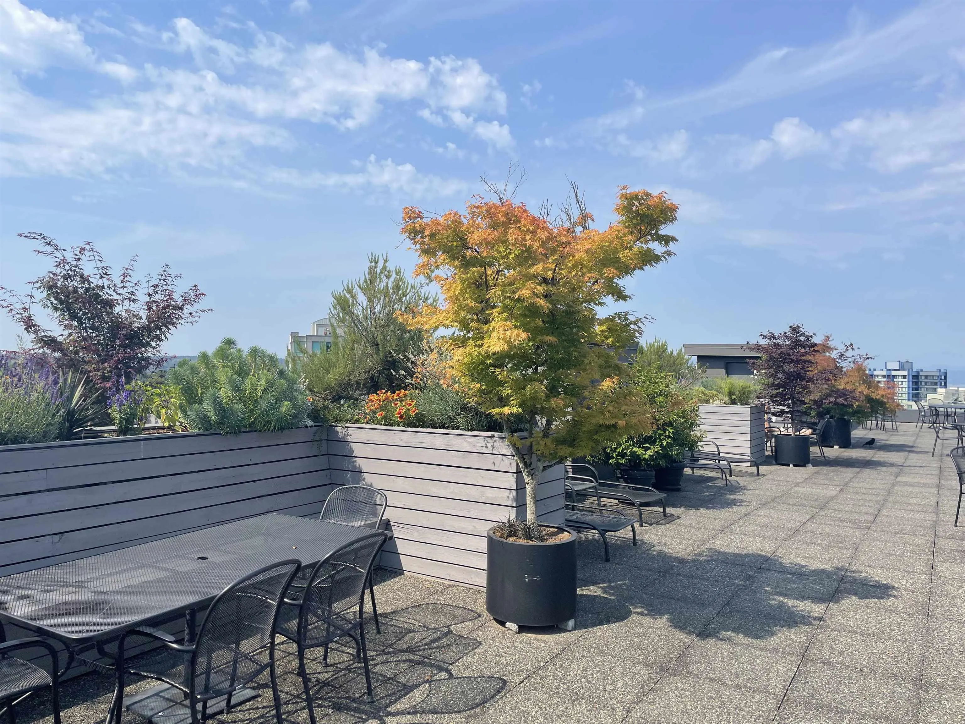 304 1445 Marpole Avenue