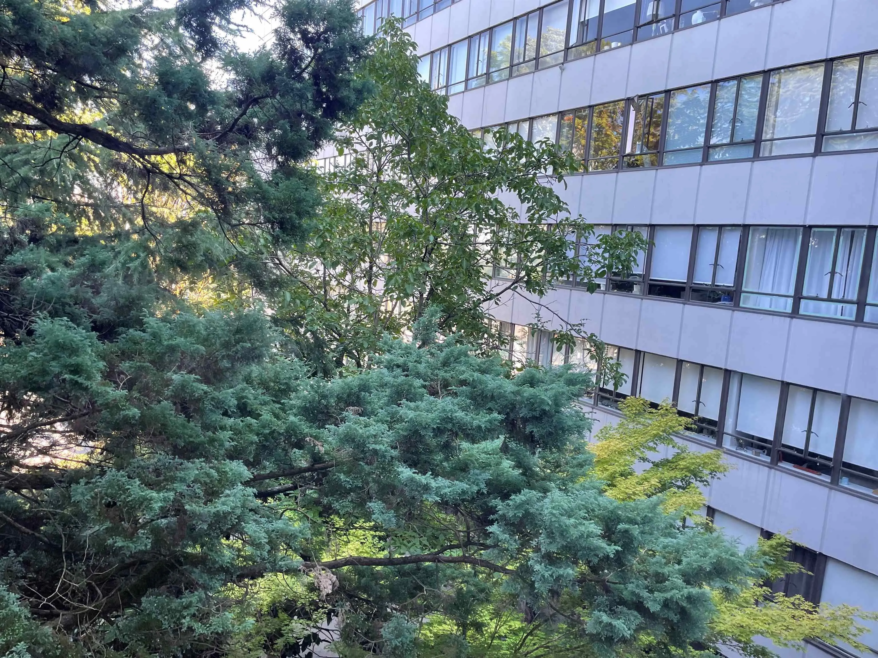 304 1445 Marpole Avenue