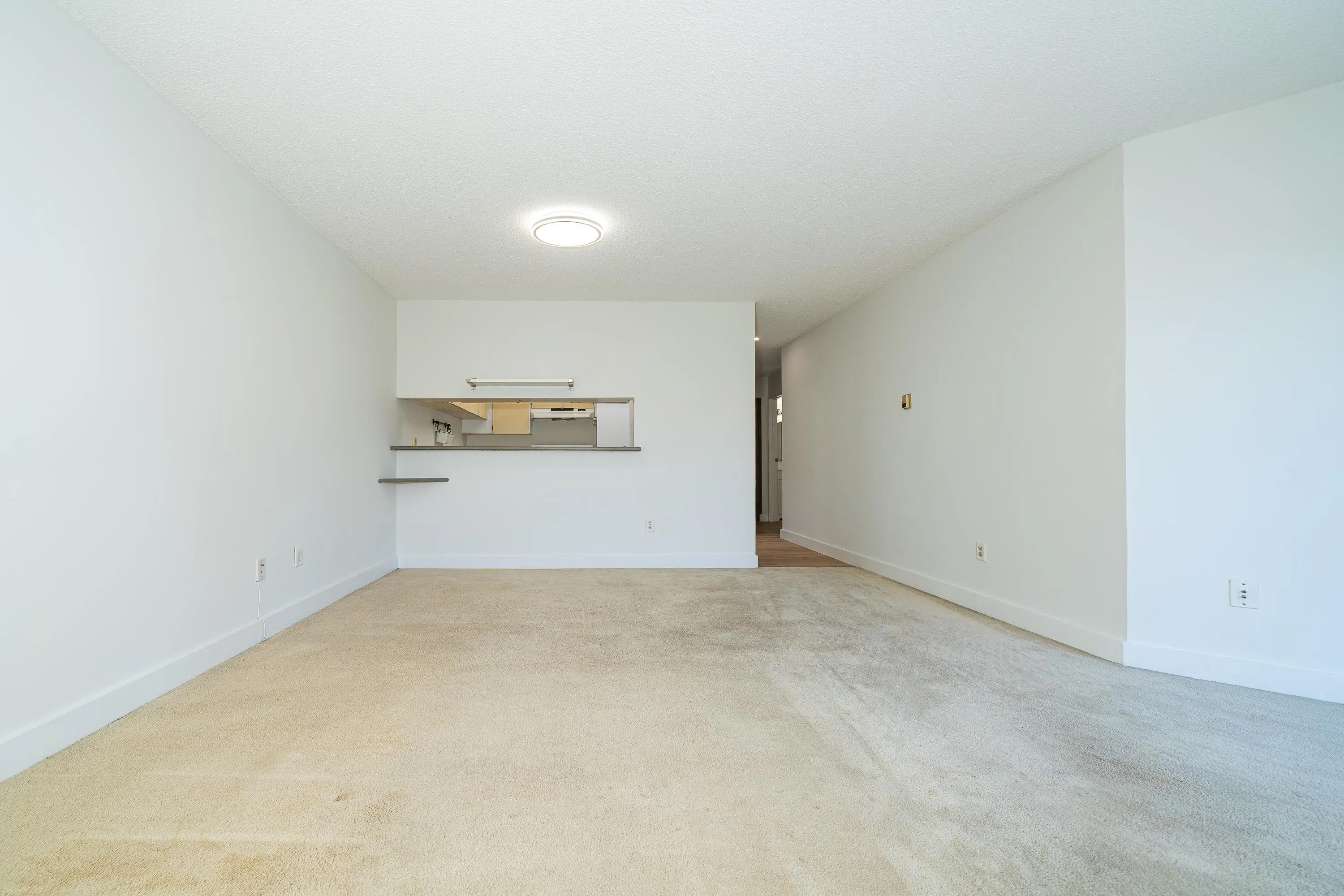 313 8460 Ackroyd Road