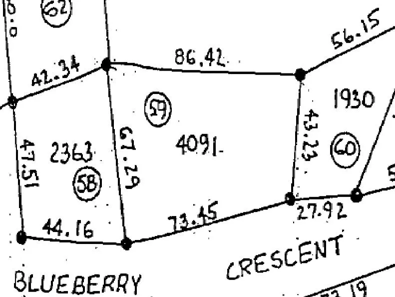 H59 Blueberry Crescent