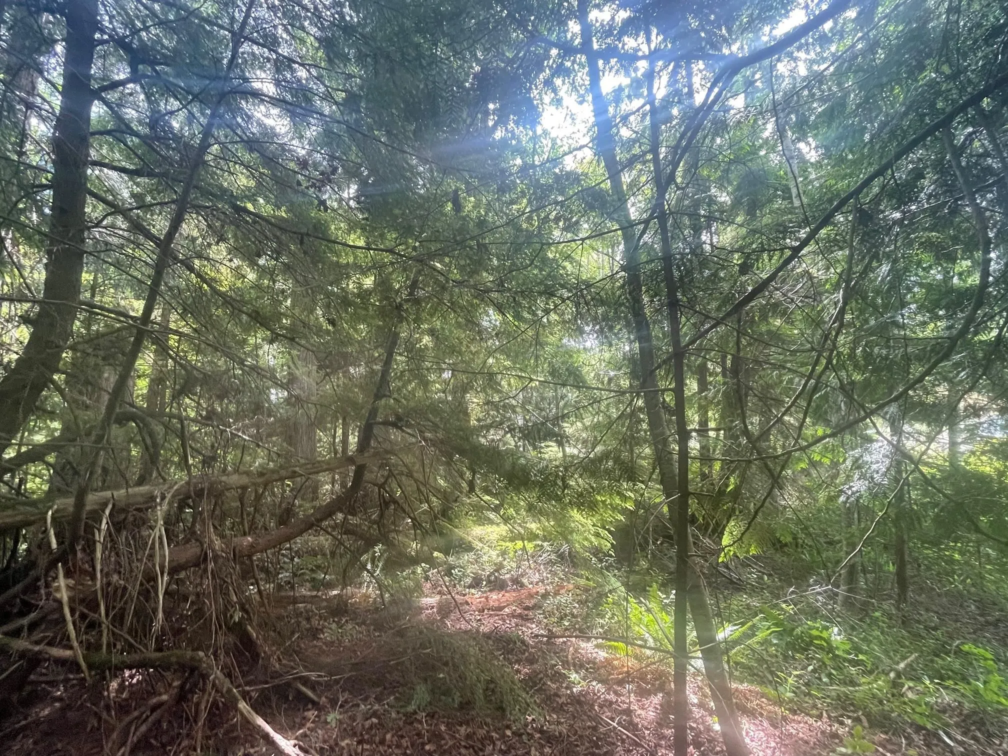 LOT 1 Brooks Road
