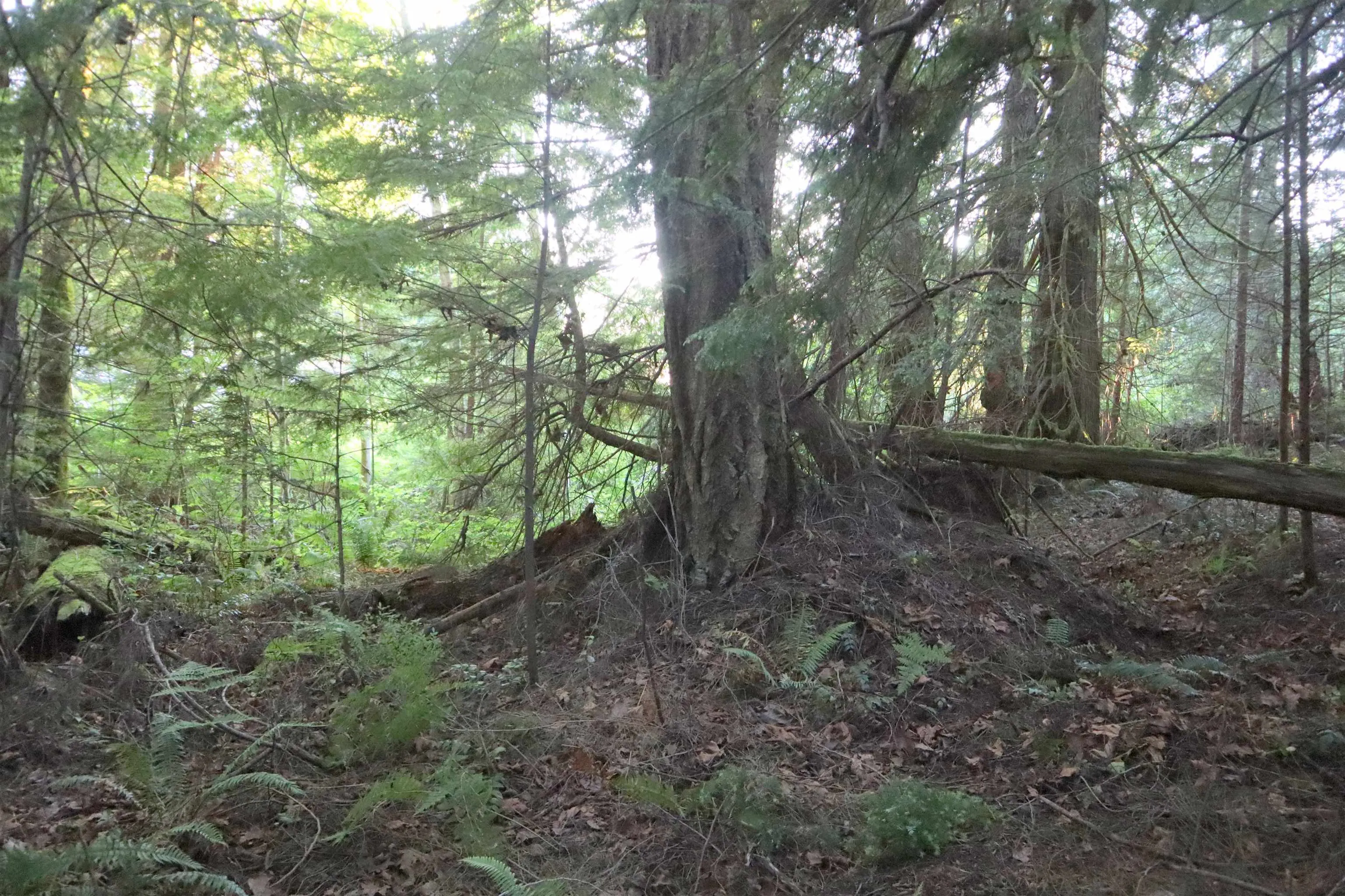 LOT 1 Brooks Road