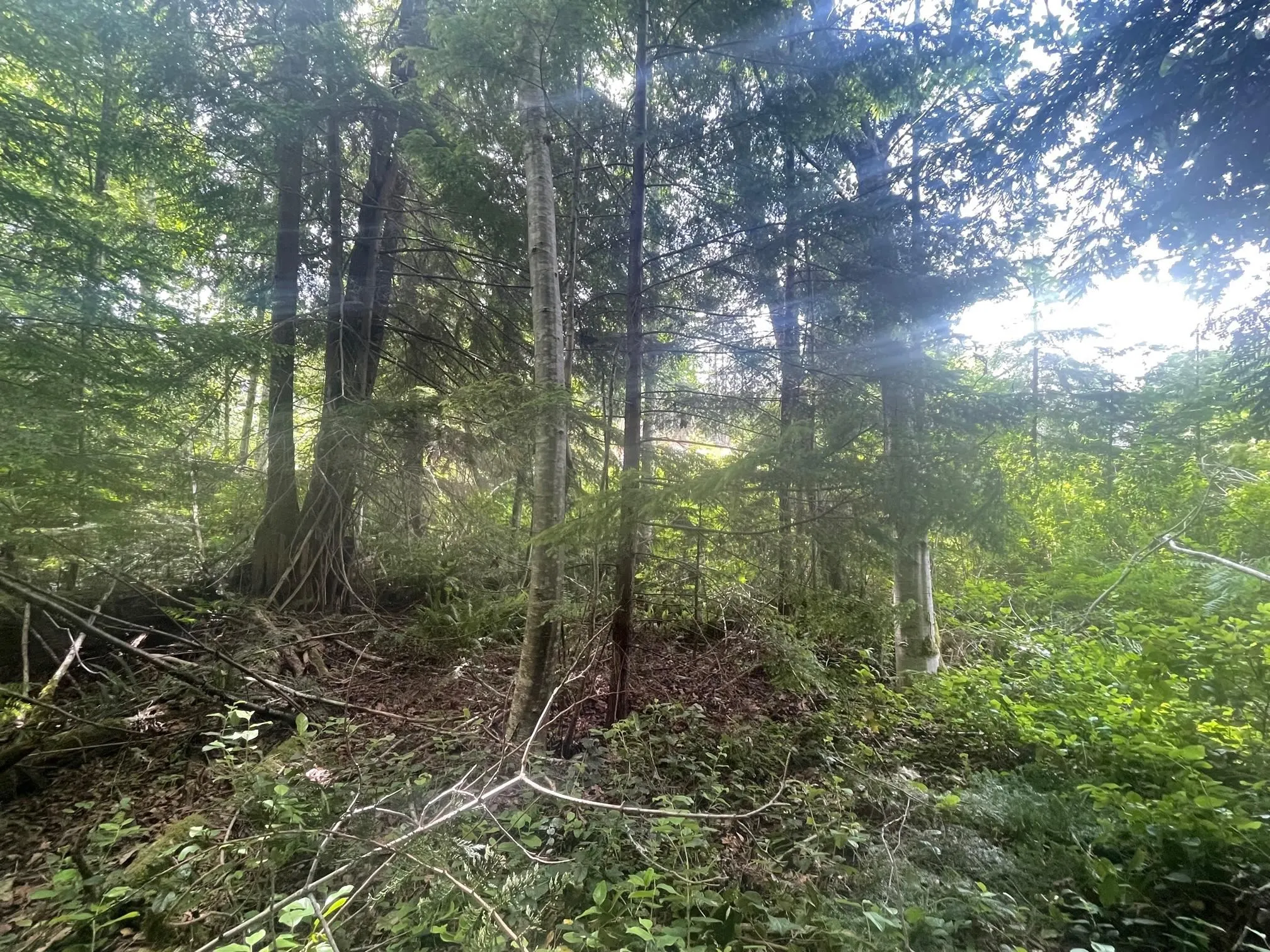 LOT 1 Brooks Road