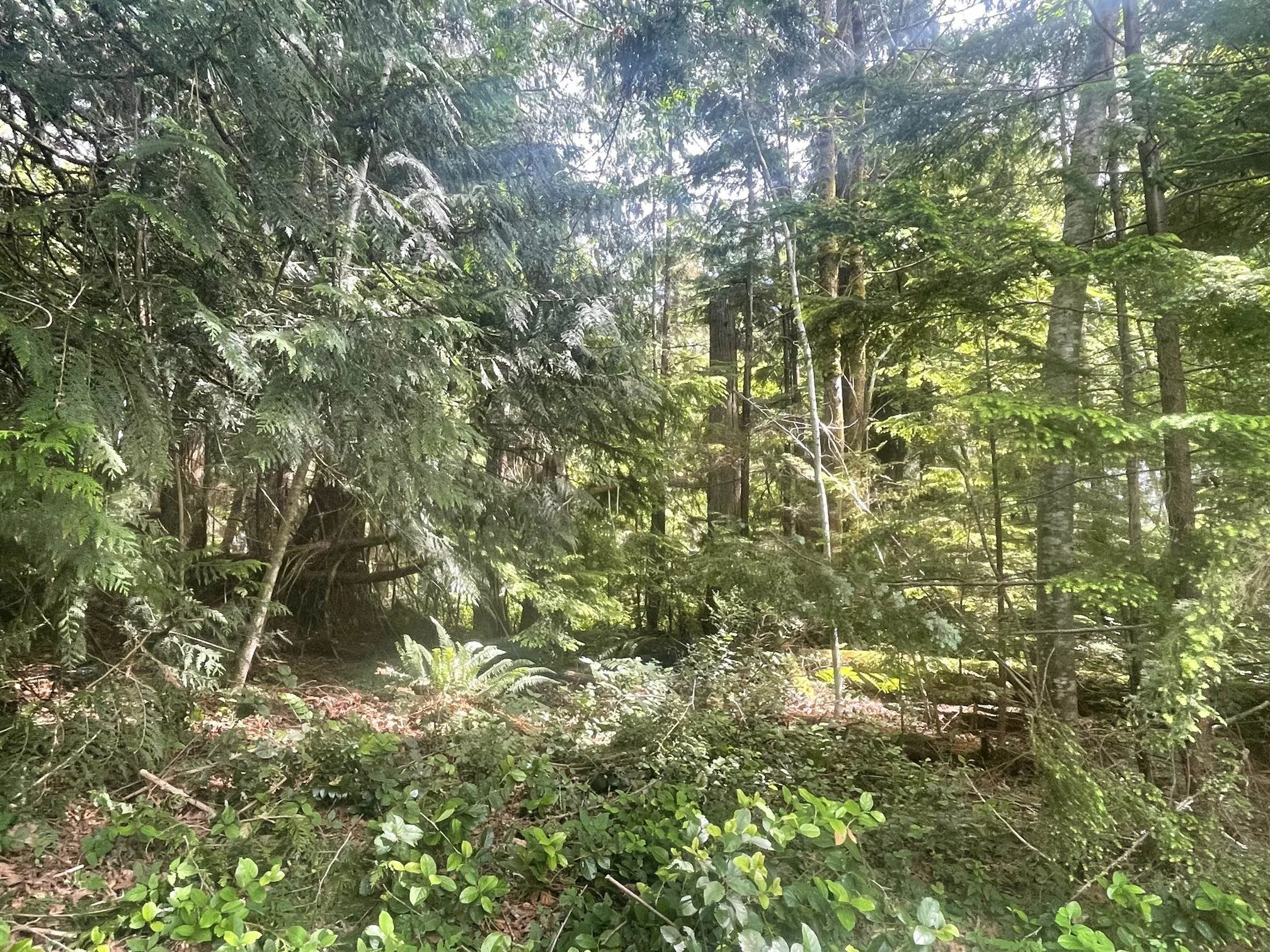LOT 1 Brooks Road