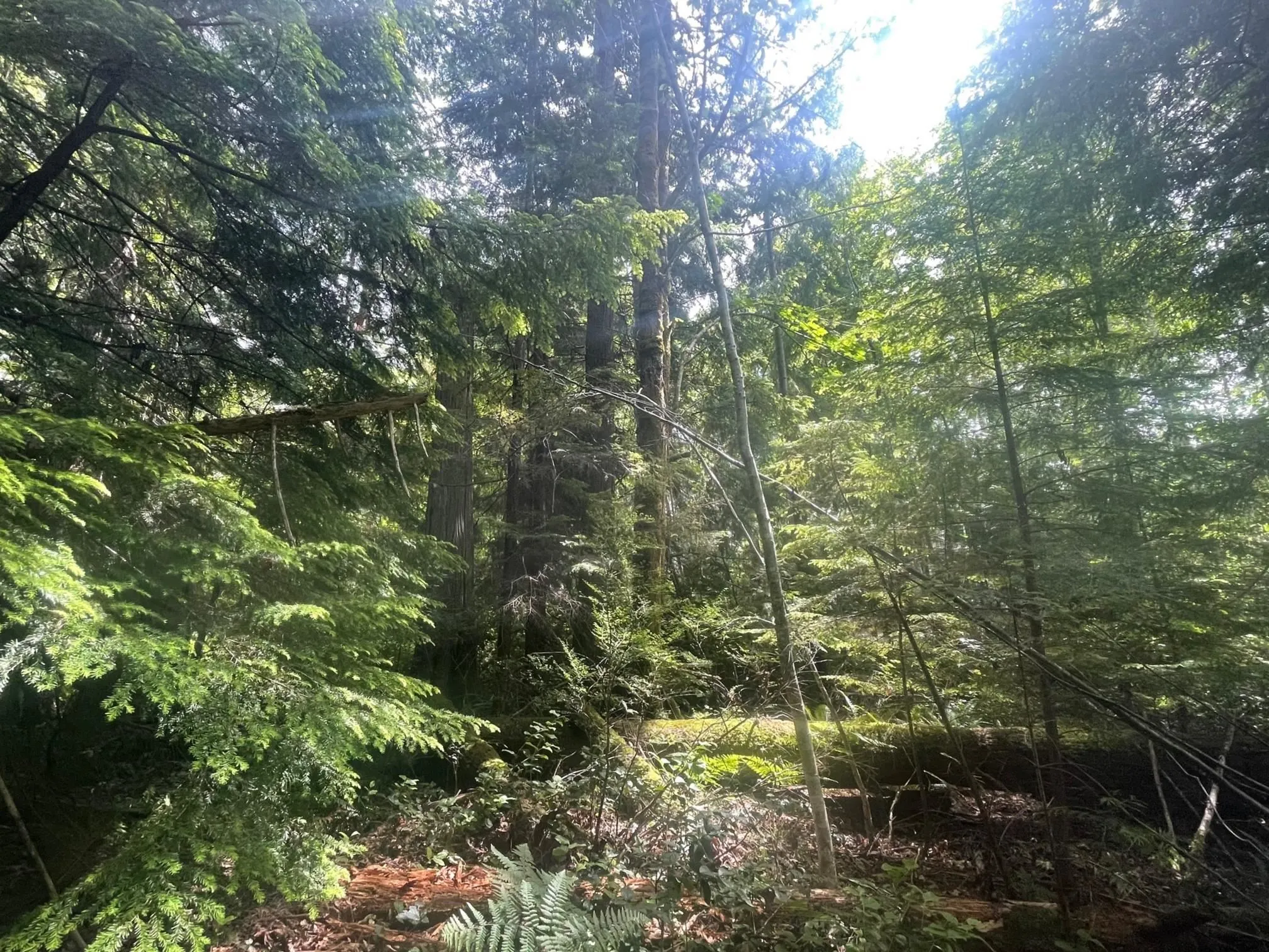 LOT 1 Brooks Road