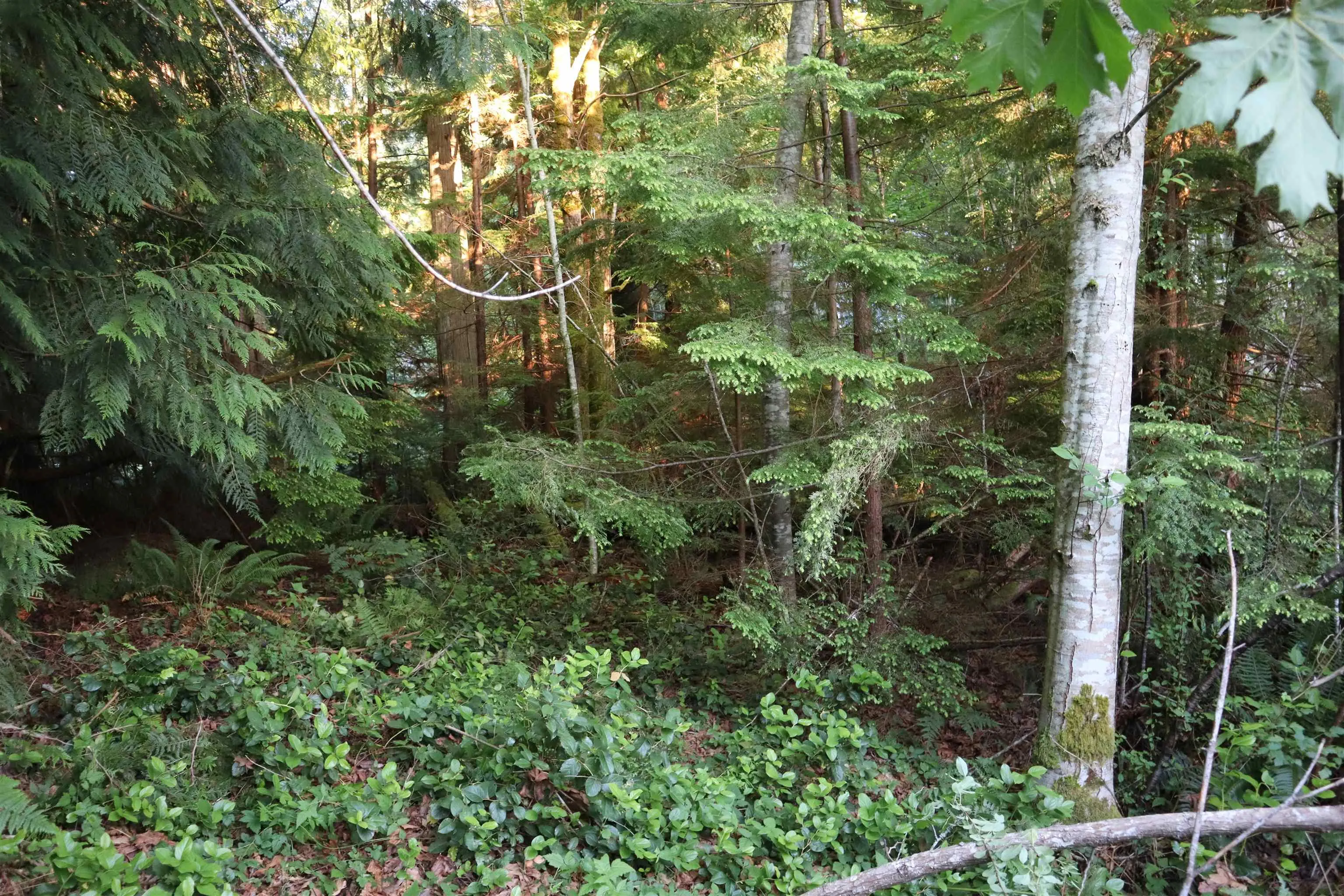 LOT 1 Brooks Road