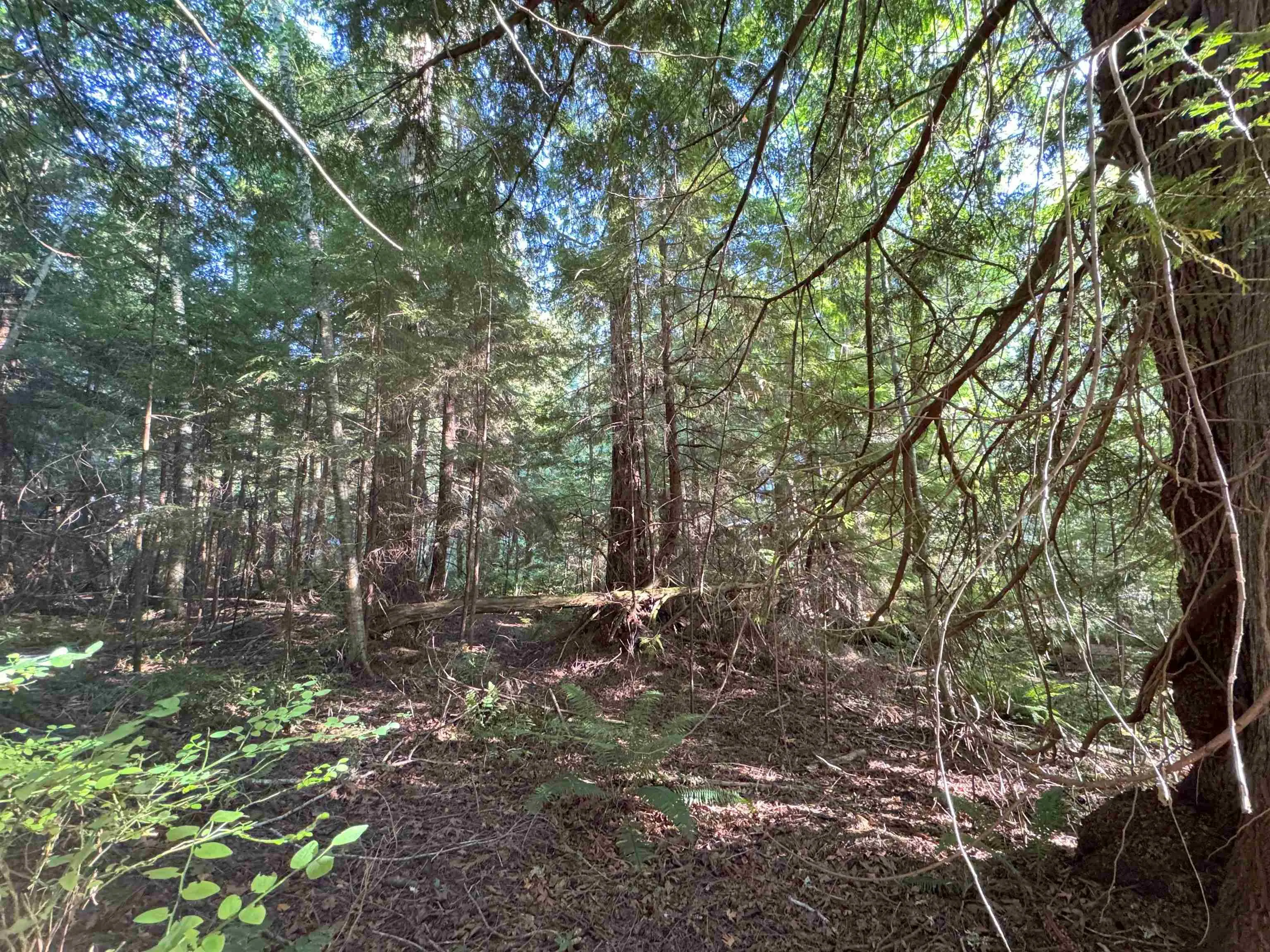 LOT 1 Brooks Road