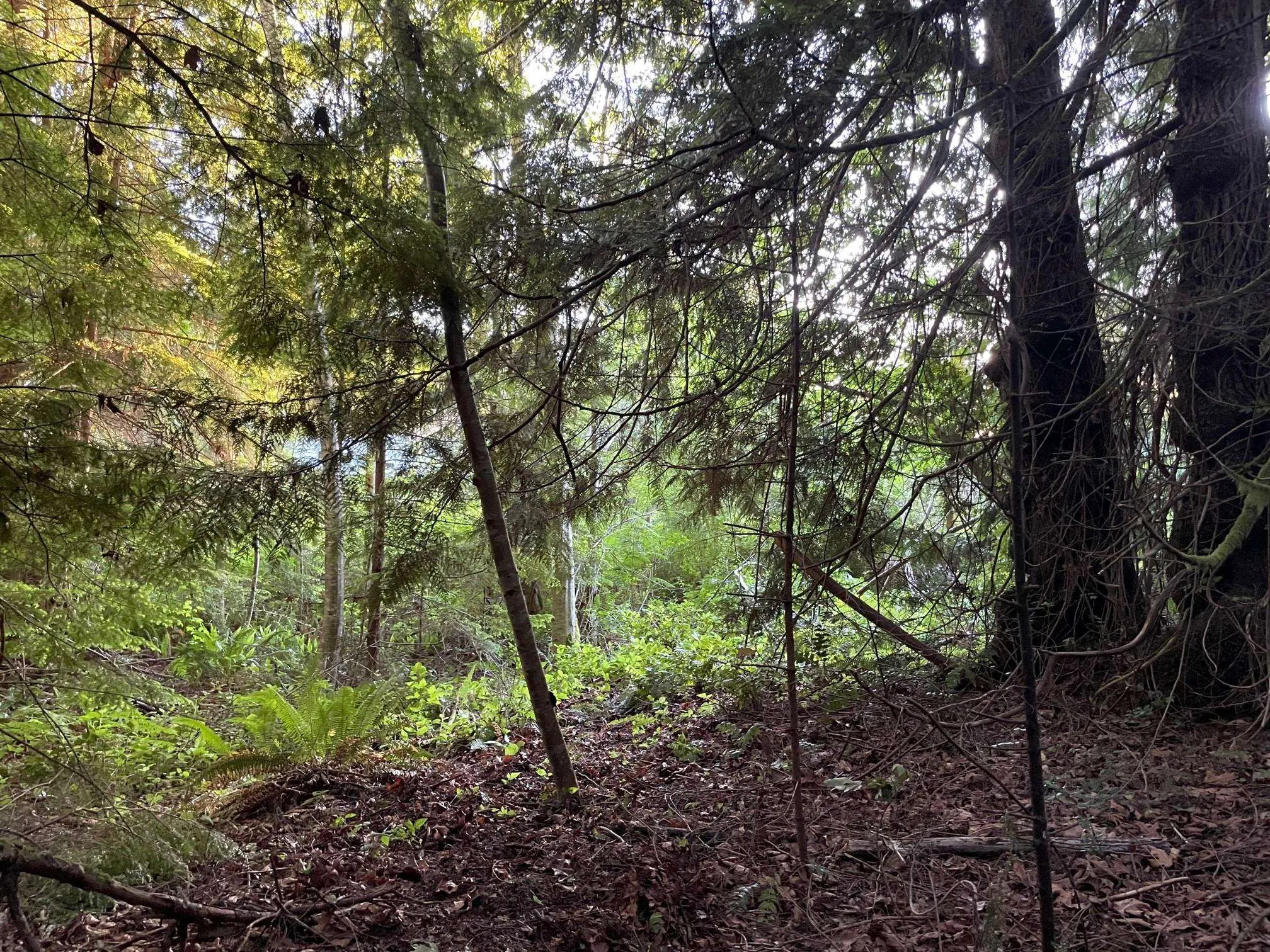 LOT 1 Brooks Road