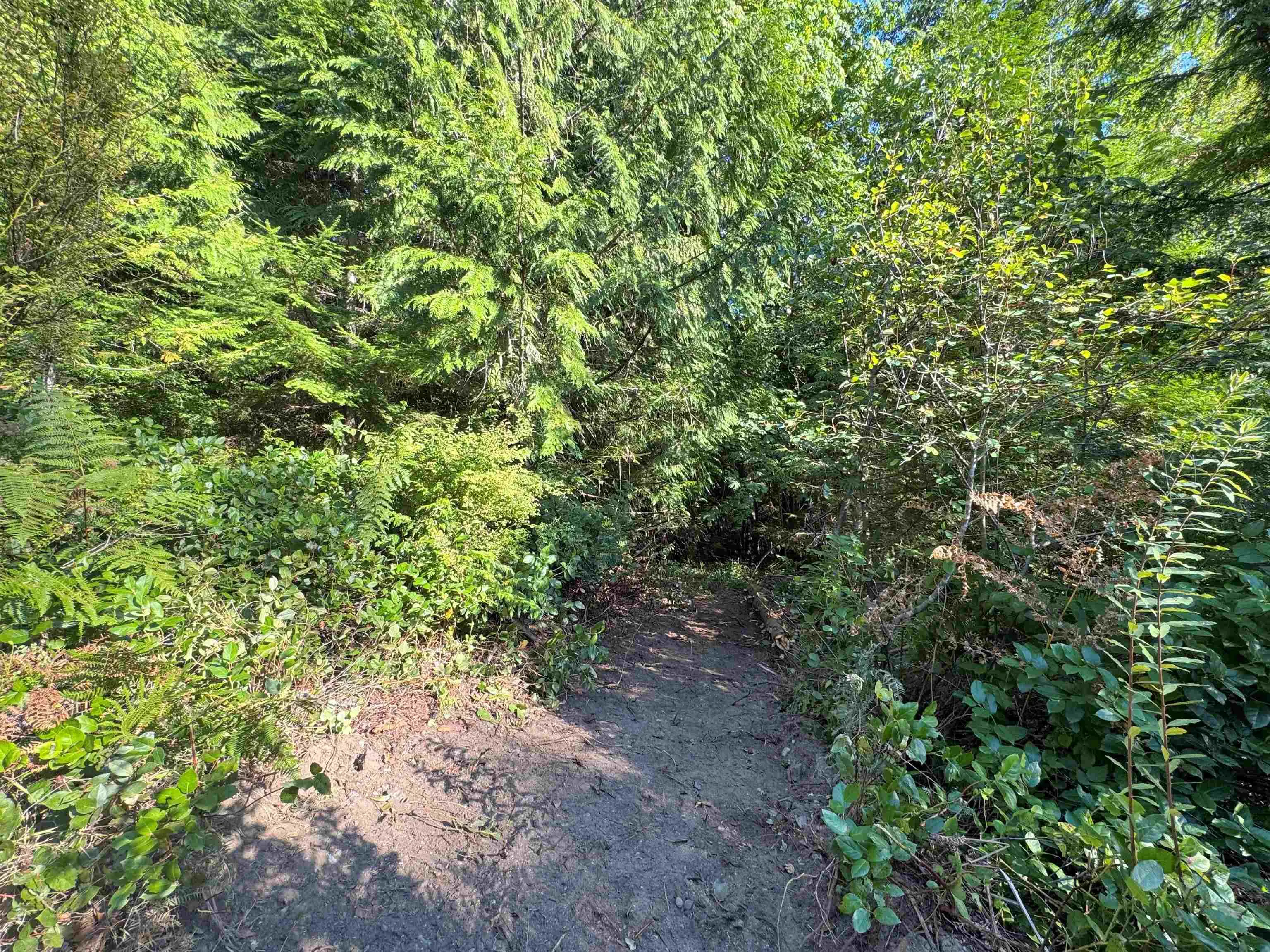 LOT 1 Brooks Road