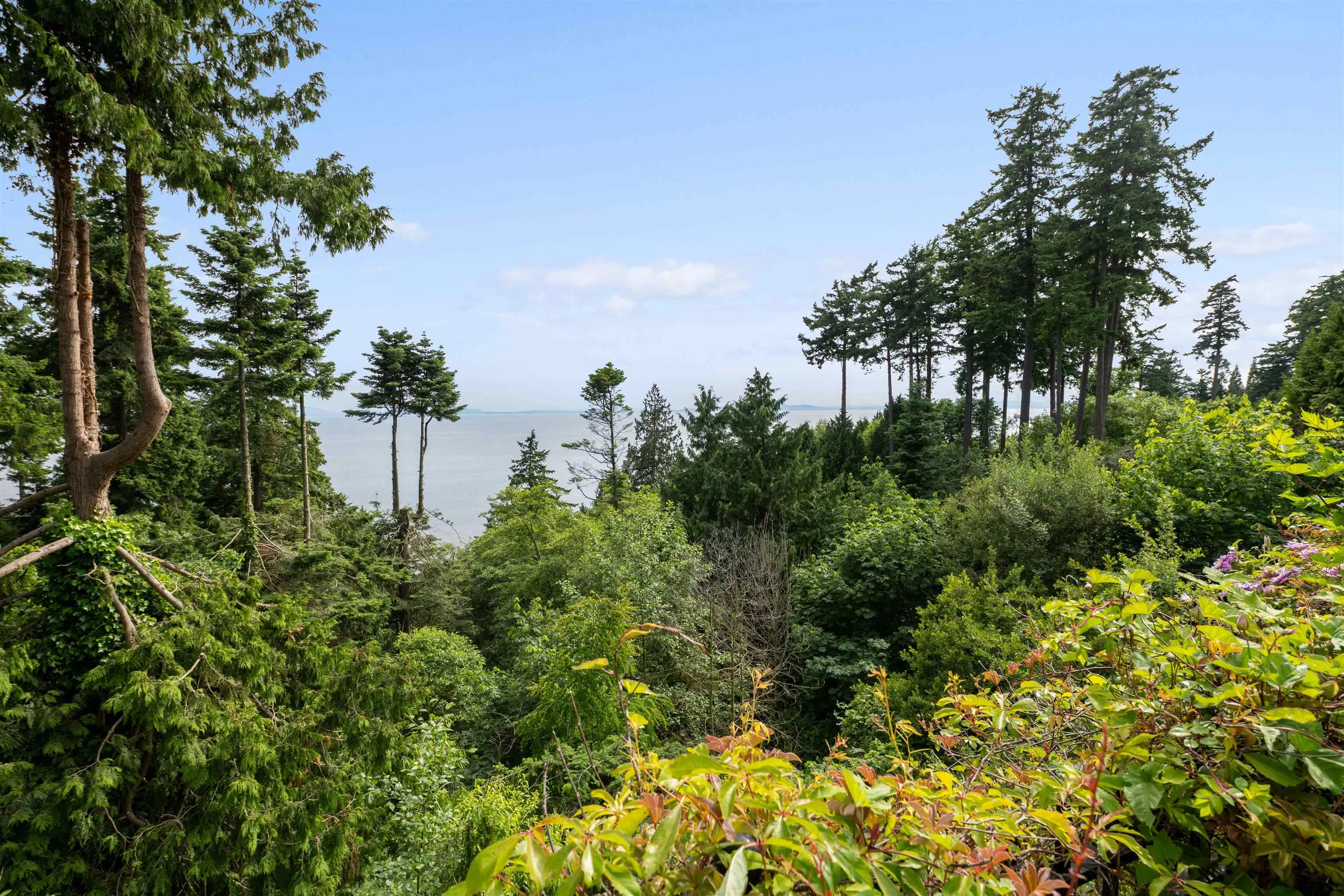 13922 Terry Road