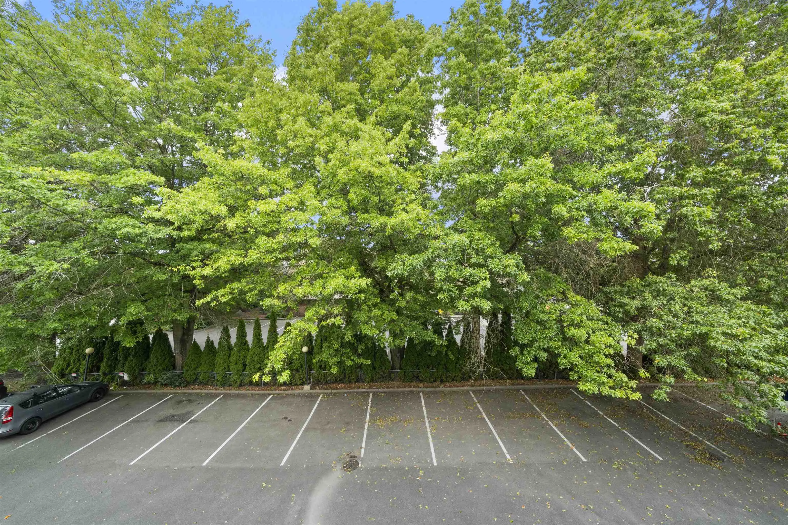 214 11771 Daniels Road