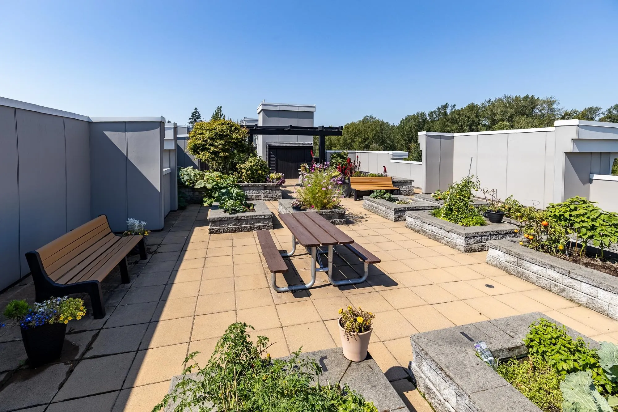 501 20826 72 Avenue