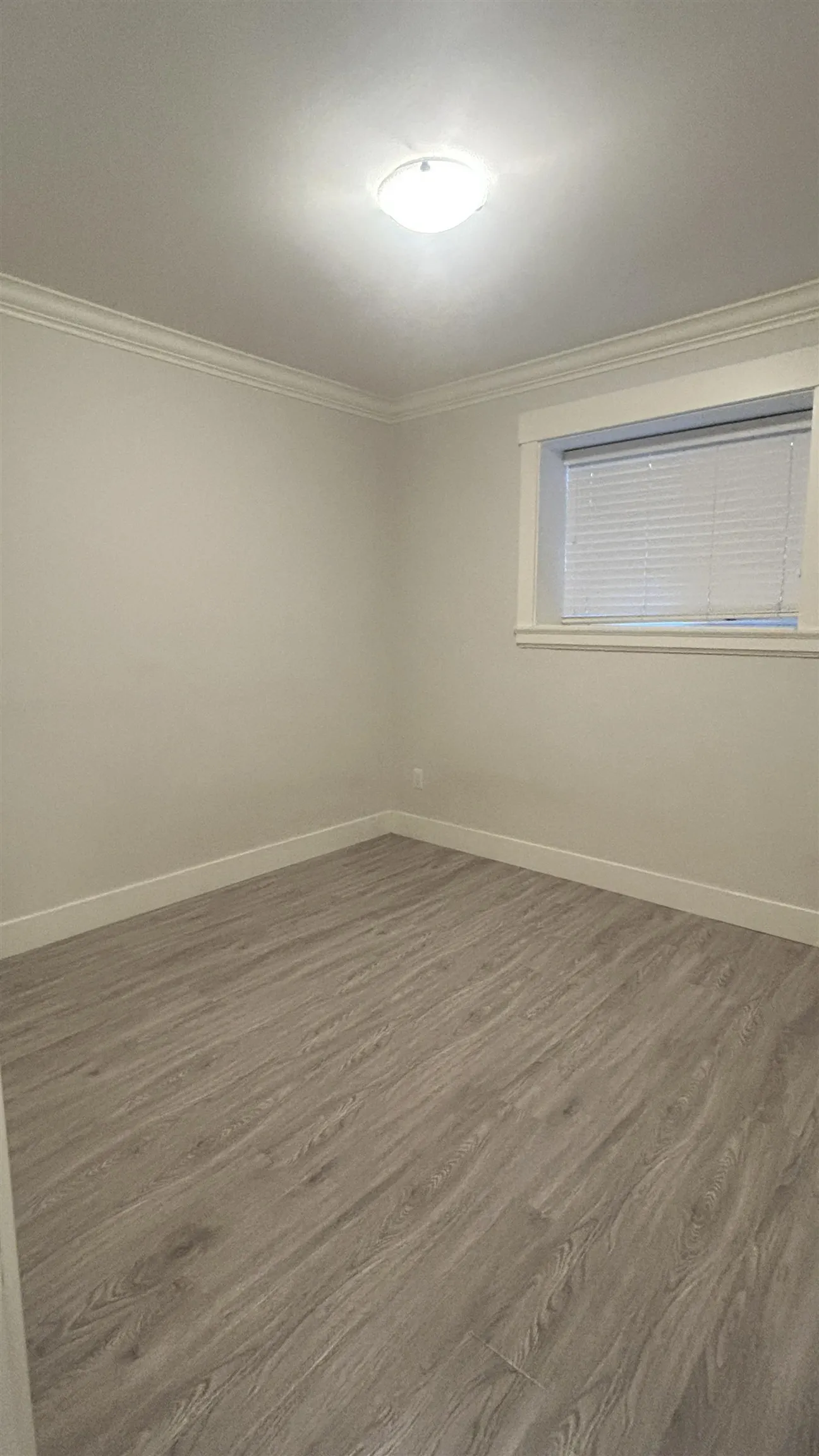Bsmt - 1040 Walls Avenue