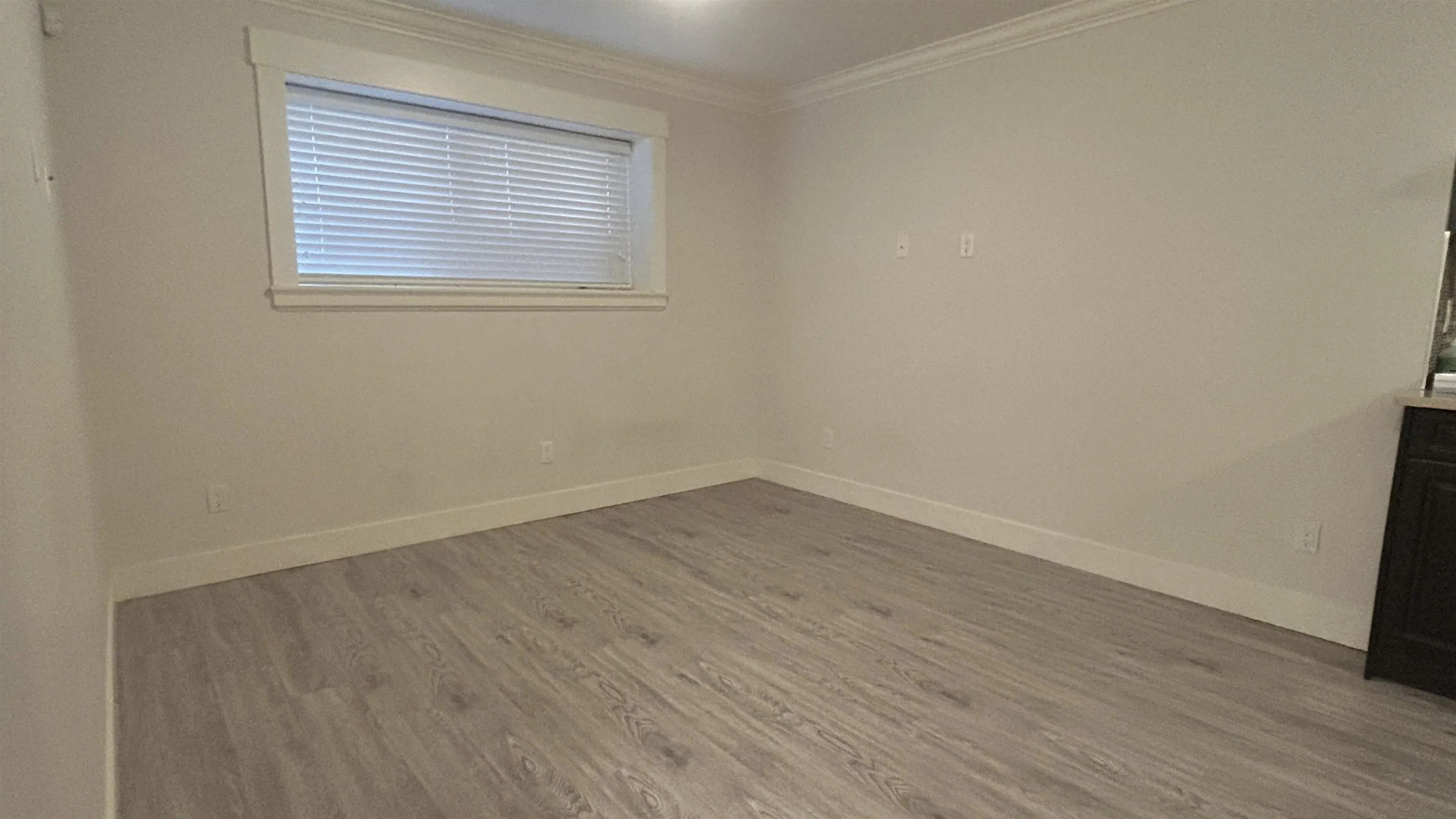 Bsmt - 1040 Walls Avenue