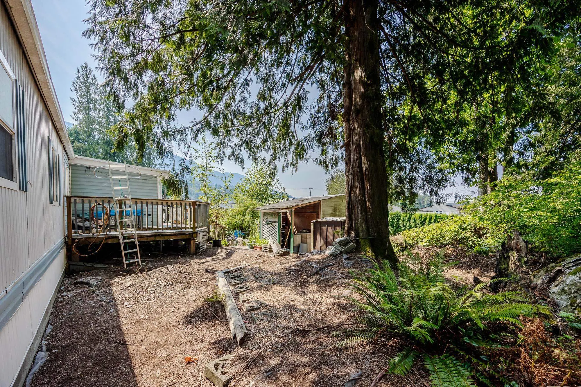 52975 Yale Road