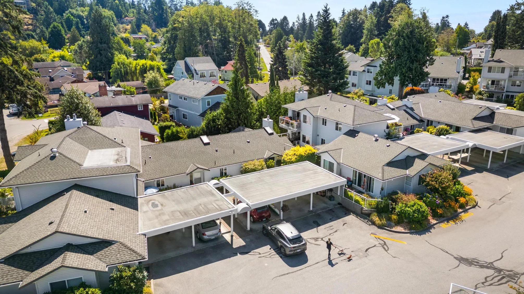 13 699 Dougall Road