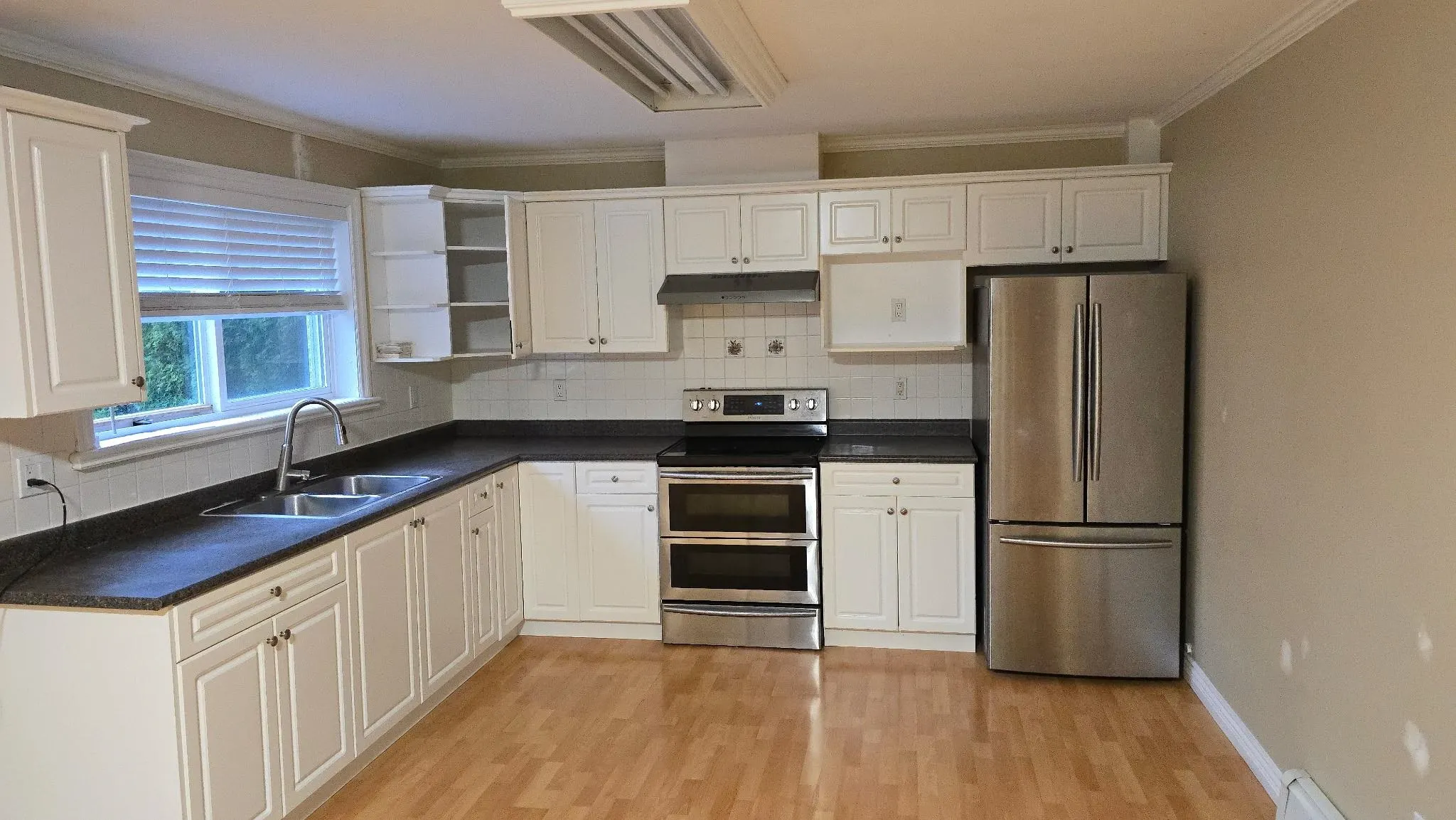 Basement 3138 Silverthrone Drive