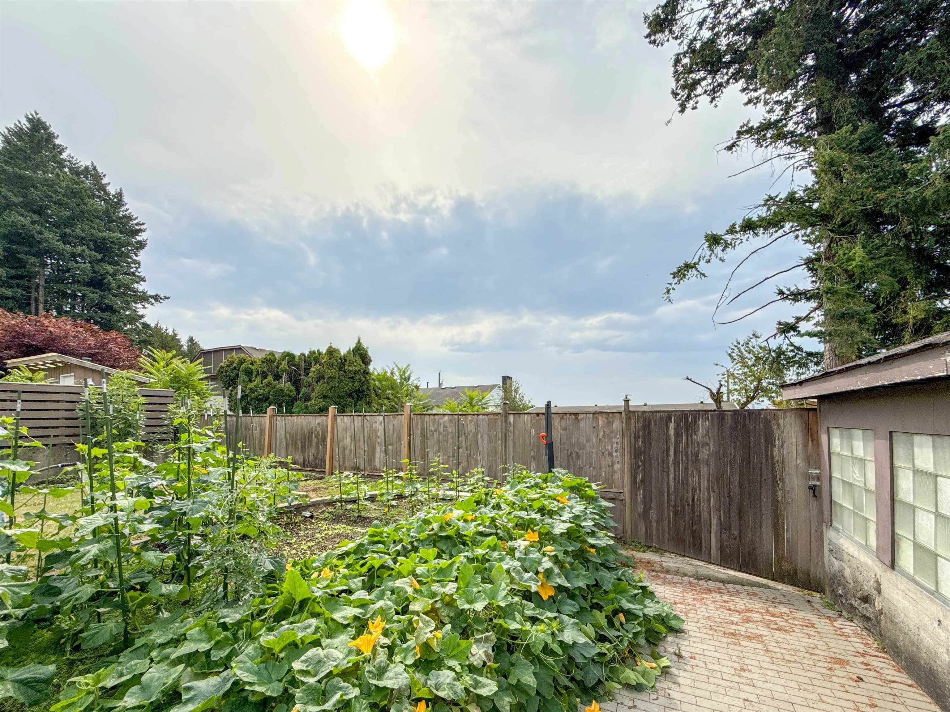 652 Shaw Avenue