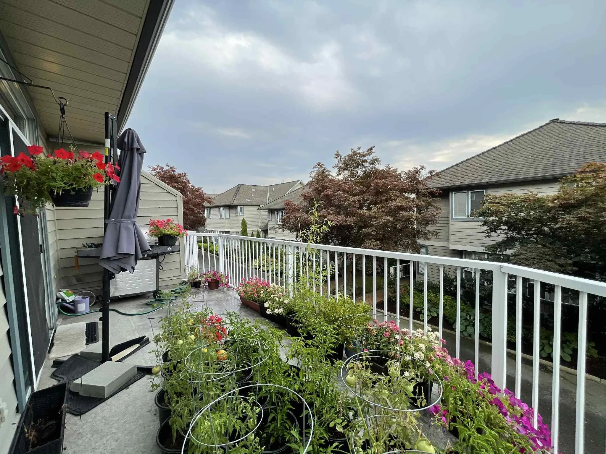 20 920 Citadel Drive