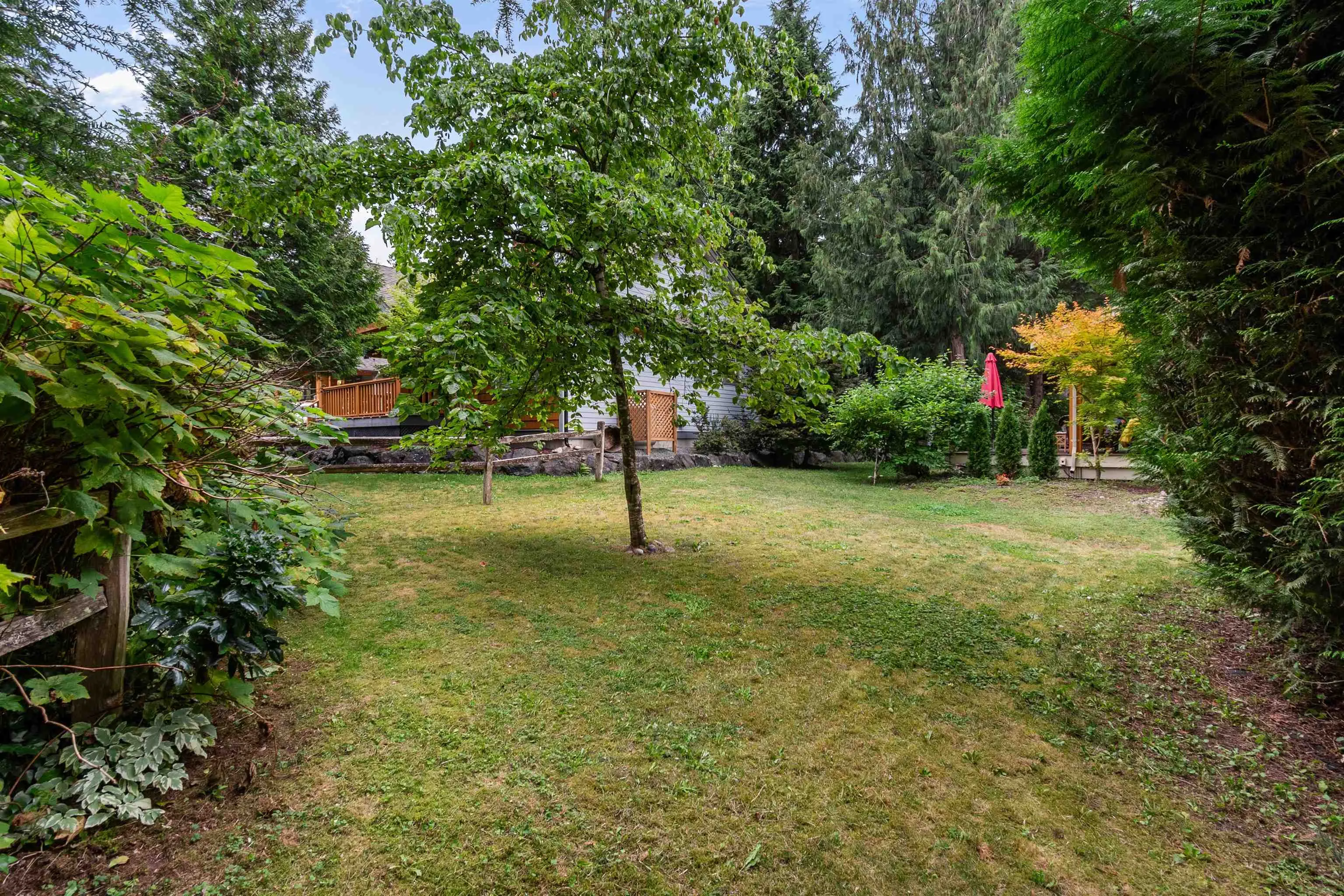 1767 Tree House Trail