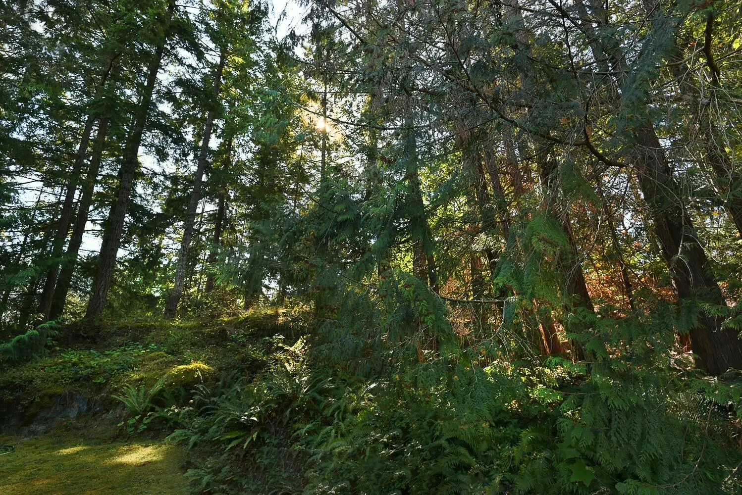 12866 Lagoon Road