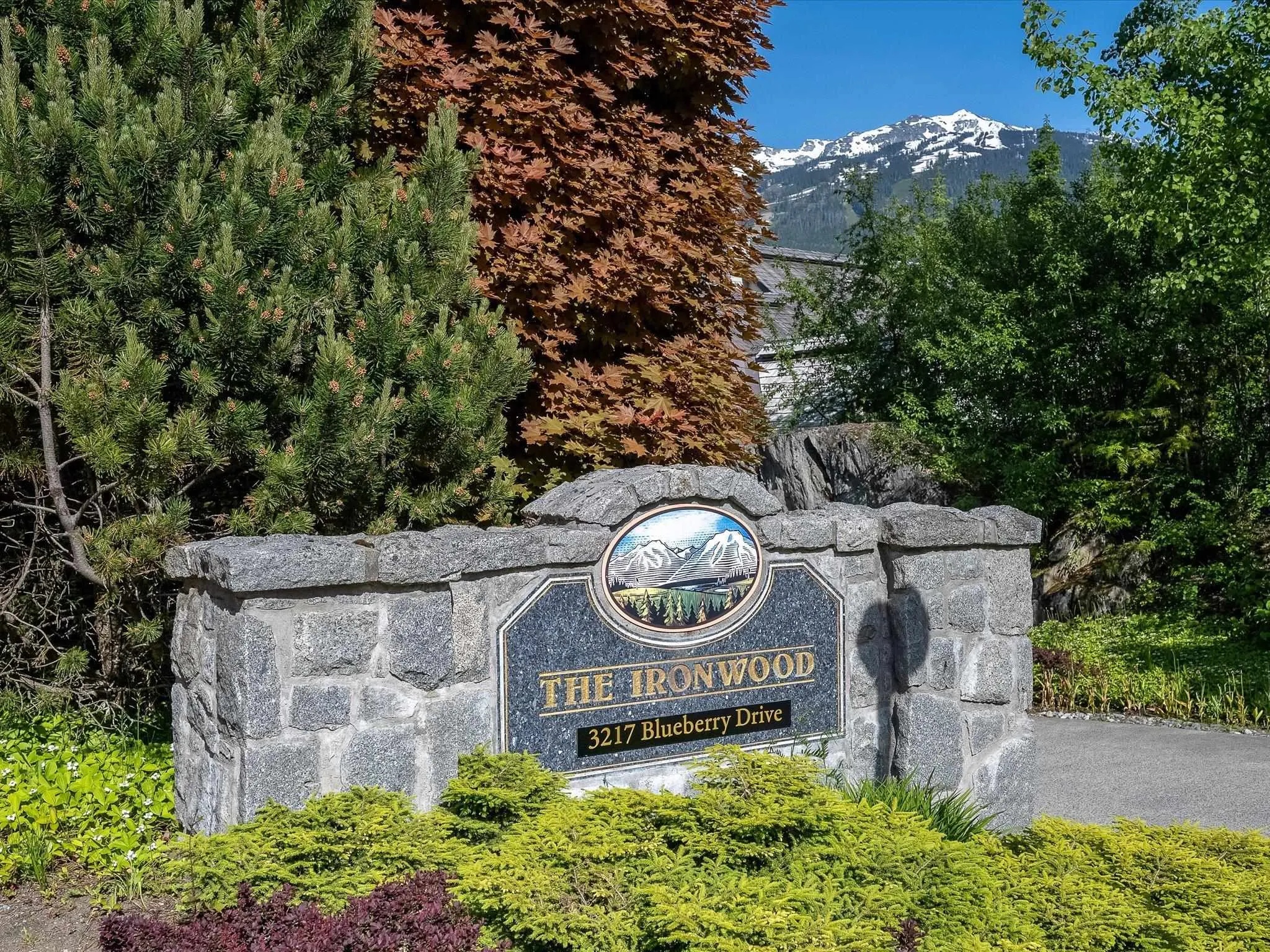 213 3217 Blueberry Drive