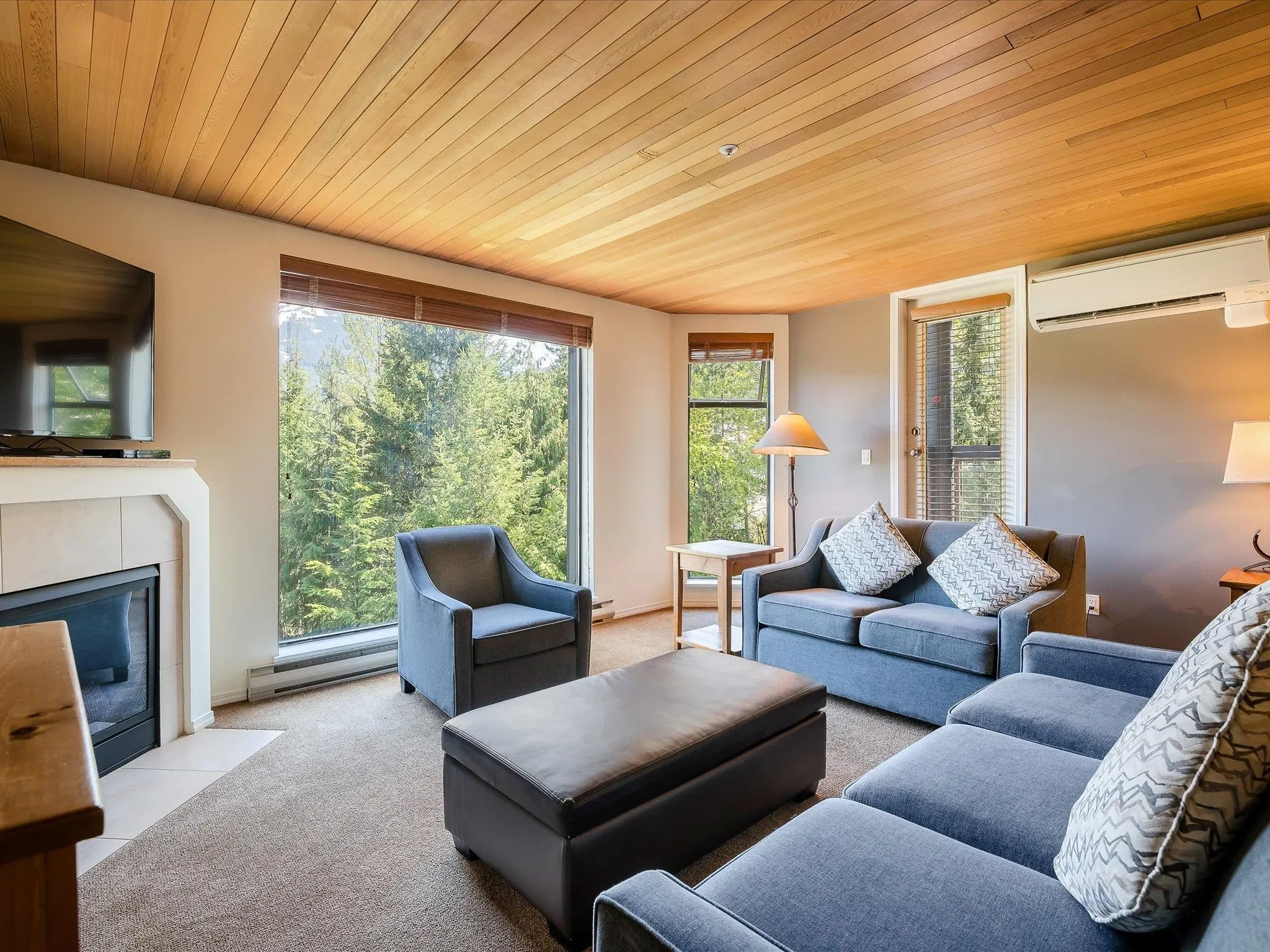 213 3217 Blueberry Drive