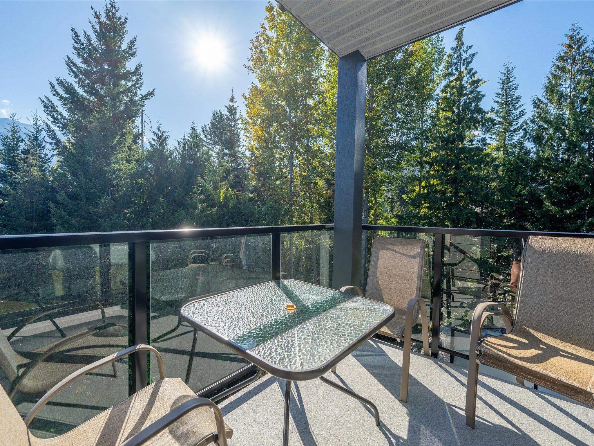213 3217 Blueberry Drive