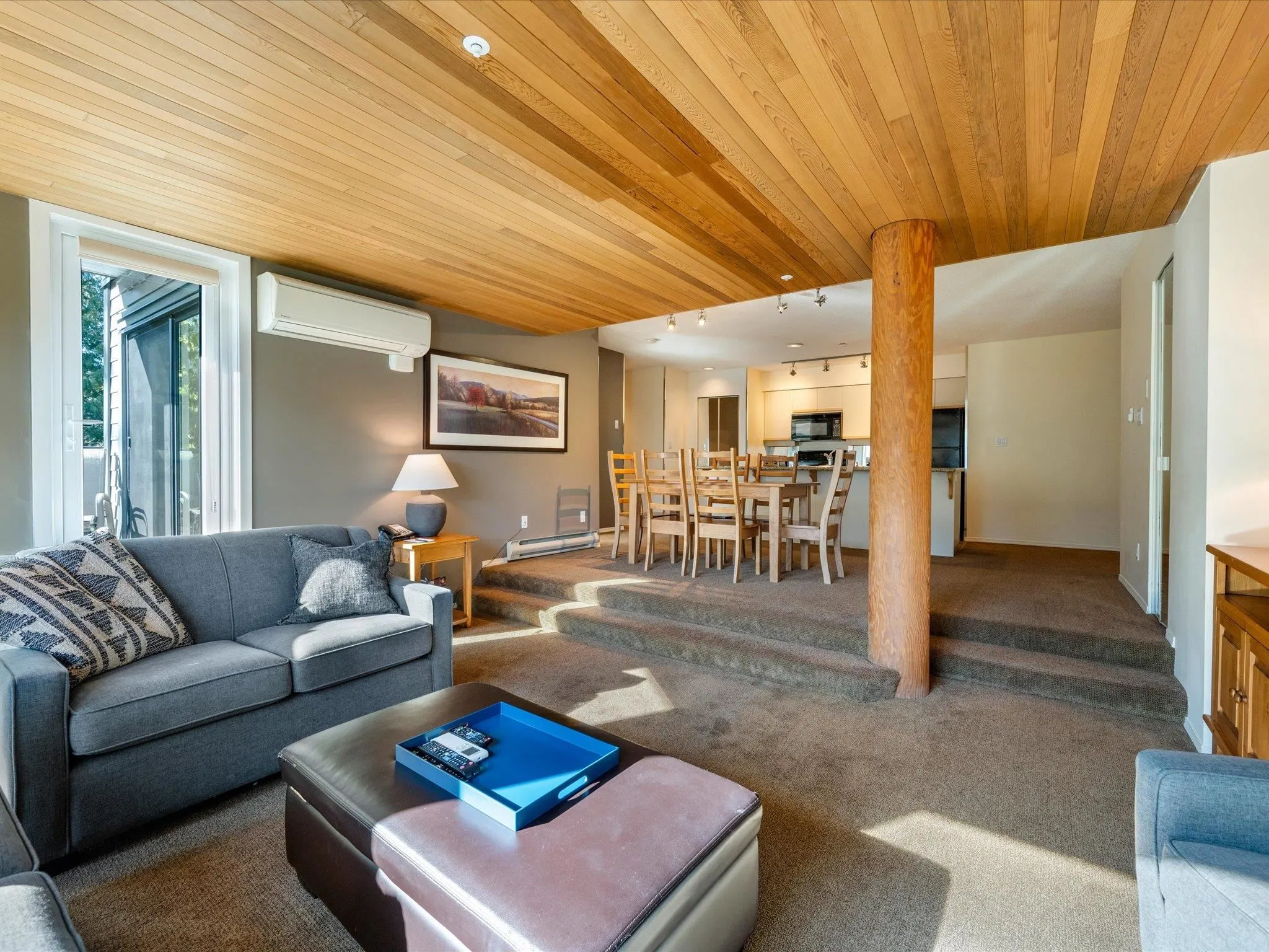 213 3217 Blueberry Drive