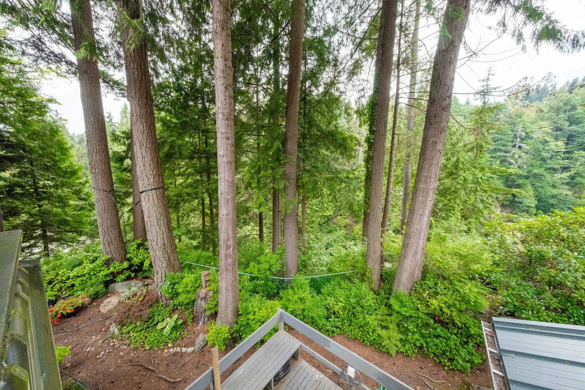 2889 Capilano Road