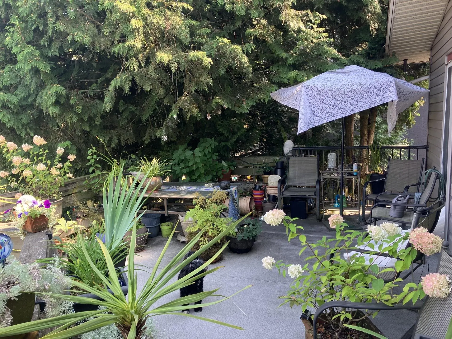 3470 Juniper Crescent
