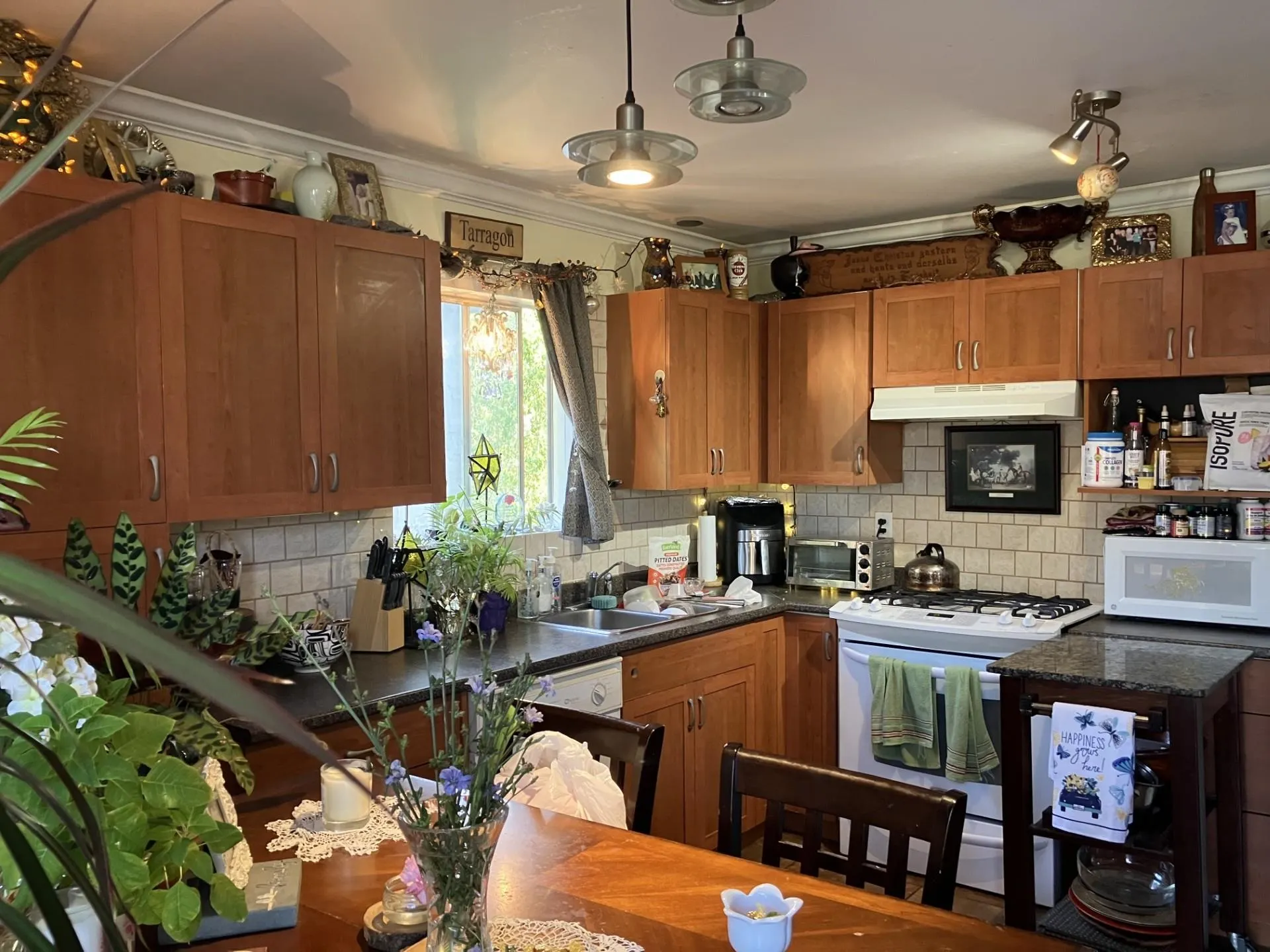 3470 Juniper Crescent