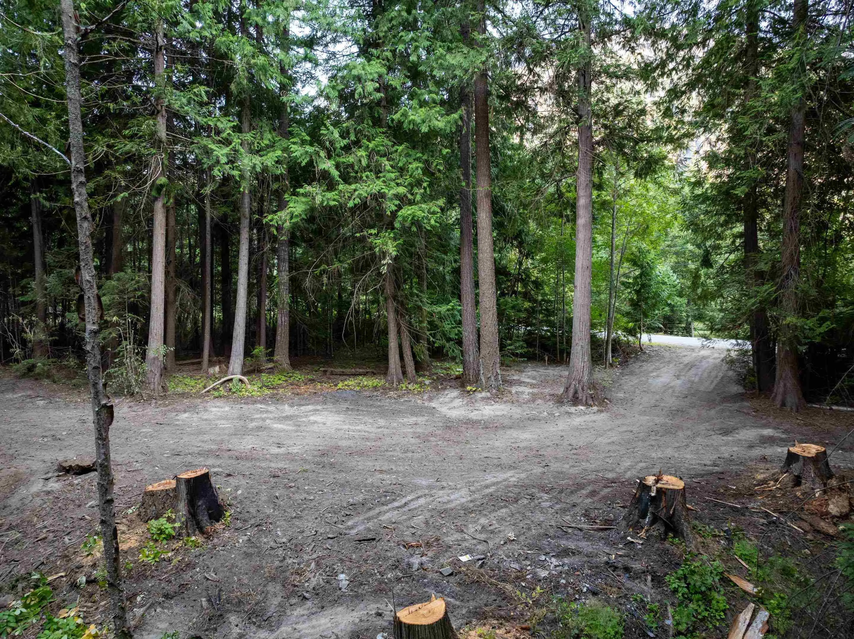 8896 Pemberton Portage Road