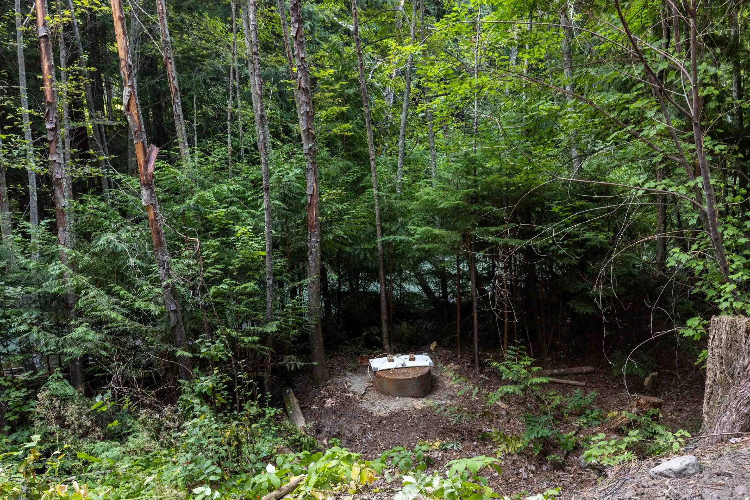8896 Pemberton Portage Road